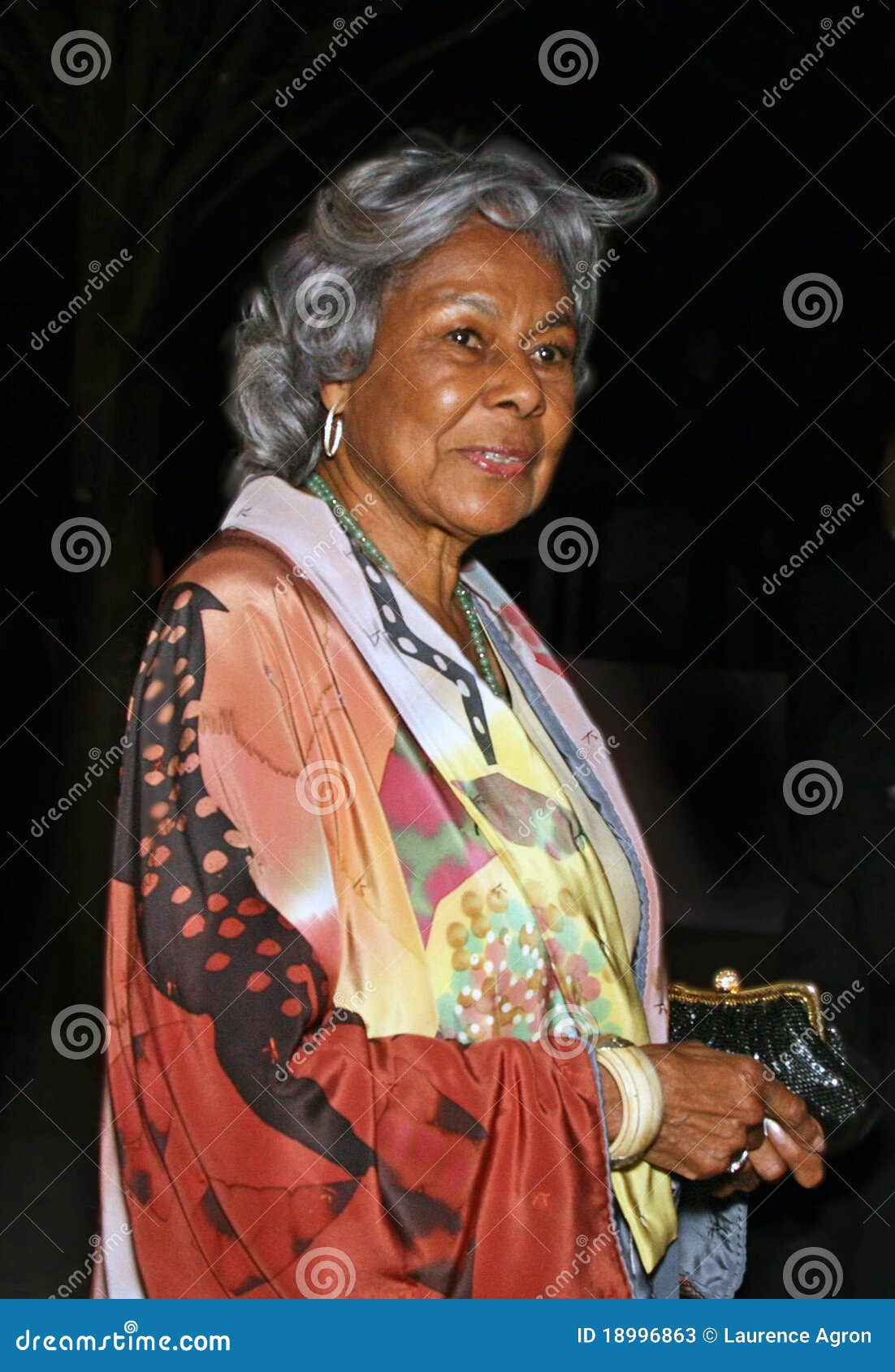 Rachel Robinson editorial stock photo. Image of purse - 18996863