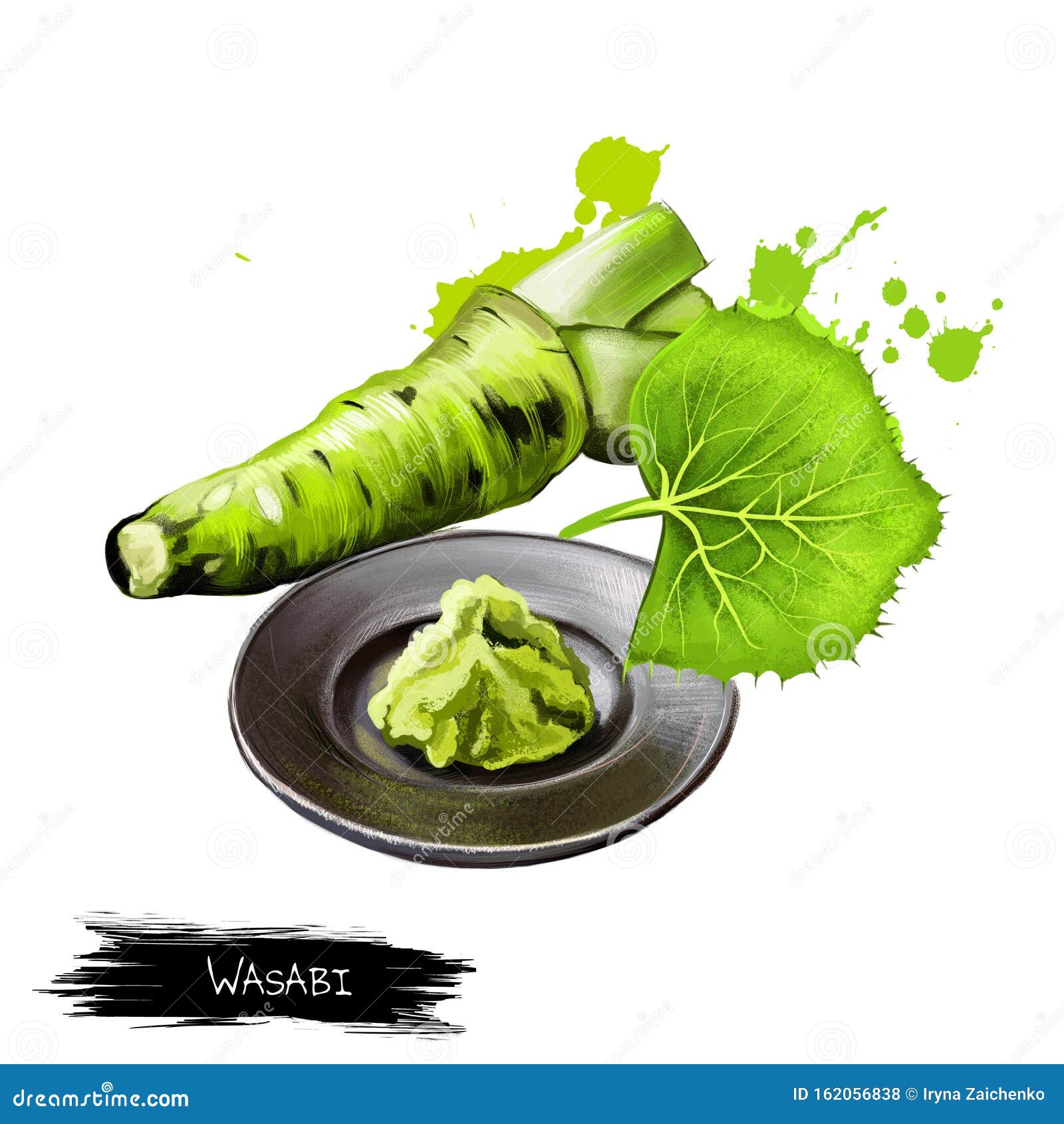 Racine De Wasabi Frais, Wasabi Cru Pour La Nourriture Japonaise