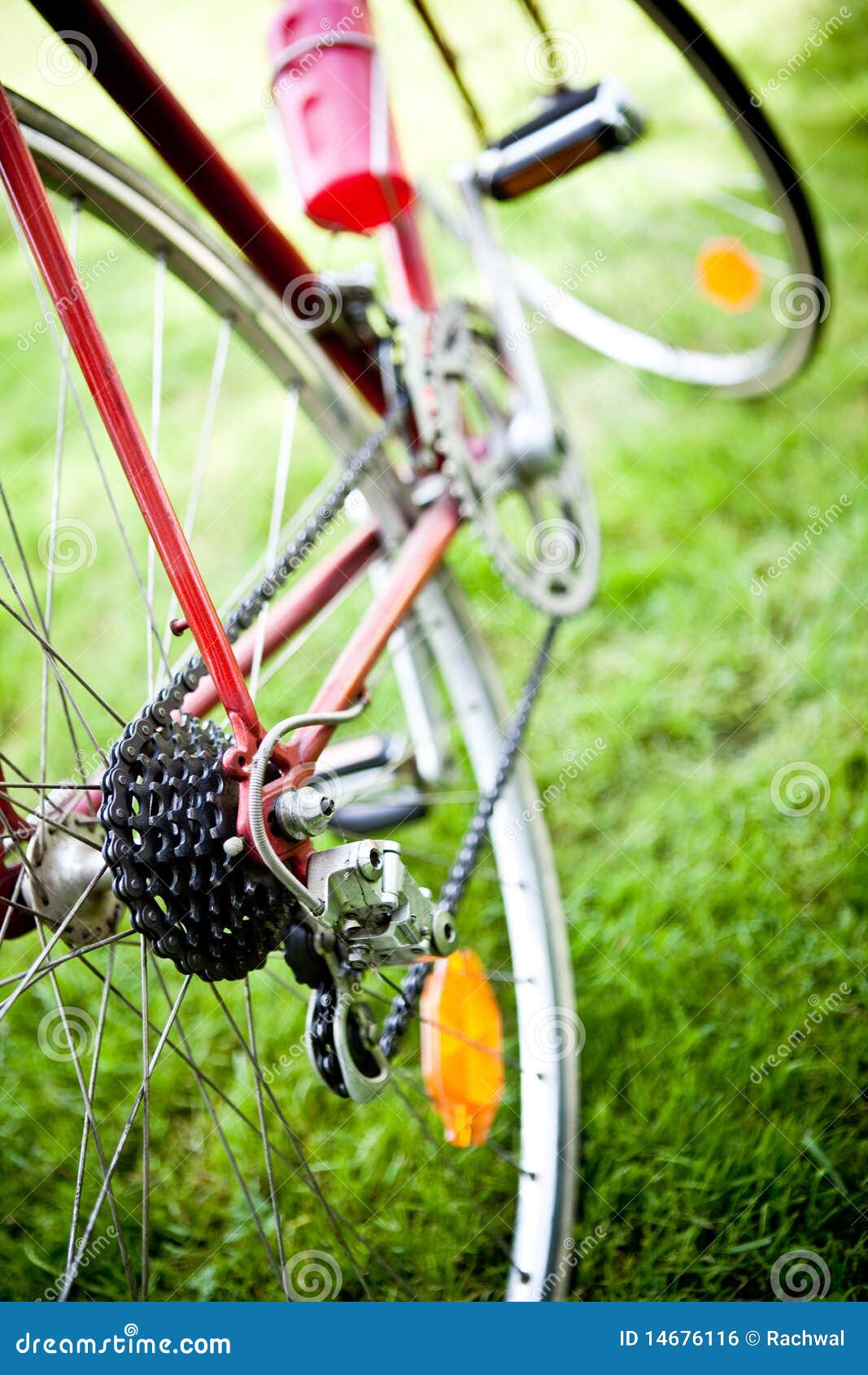 custom bike cassette