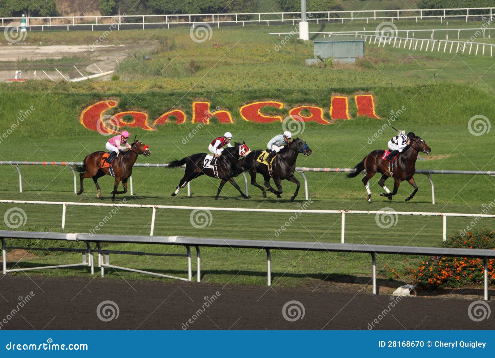 Racing Down a Beautiful Grass Track Editorial Image Image of