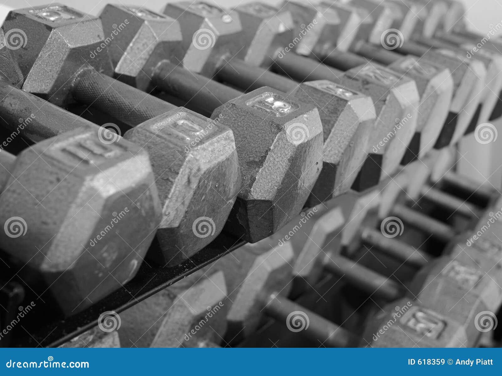 Rack of Free Weight Dumbells Stock Image Image of muscle, rack 618359