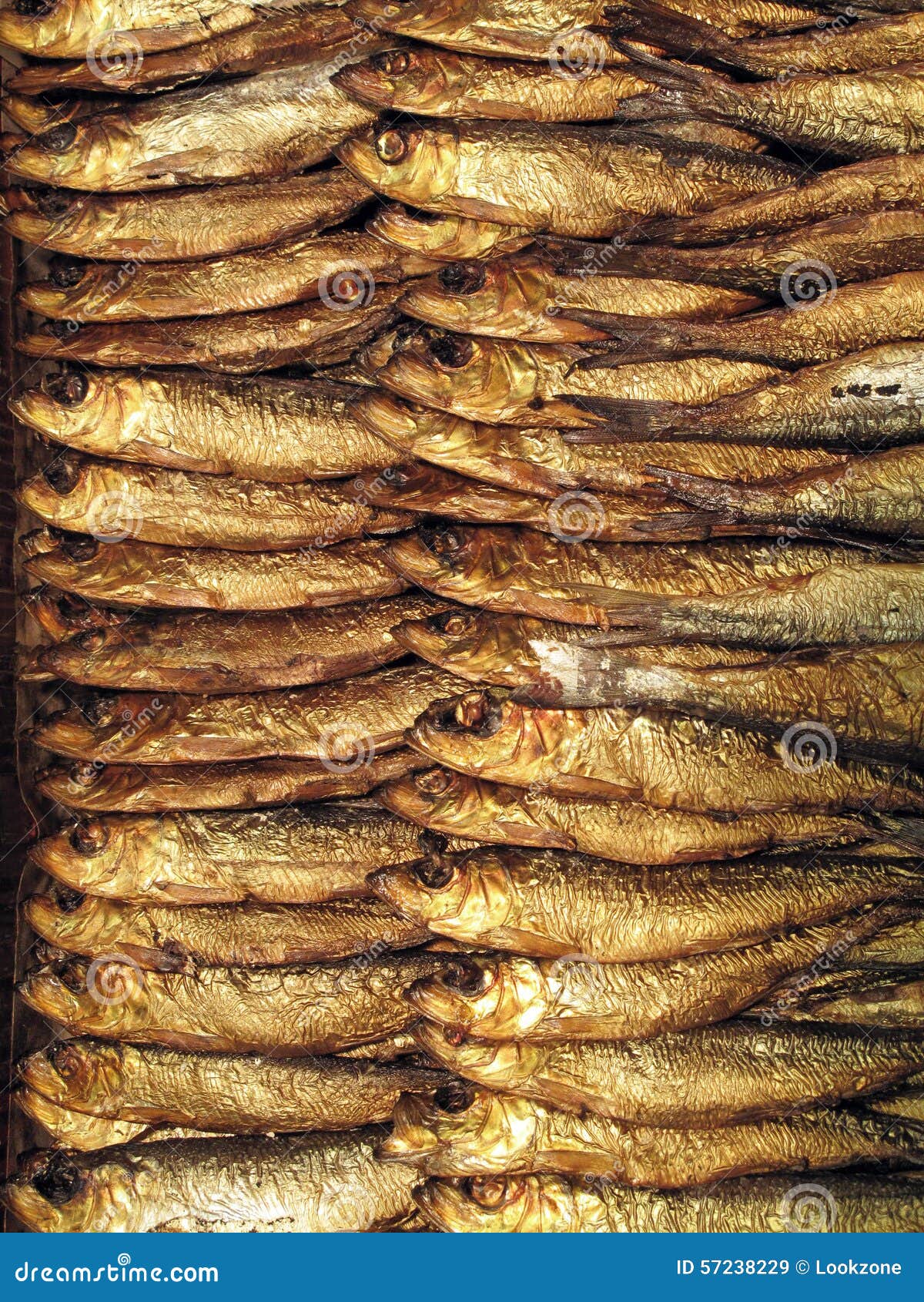 A Rack of Fresh Smoked Fish. Stock Image Image of flavor, animal