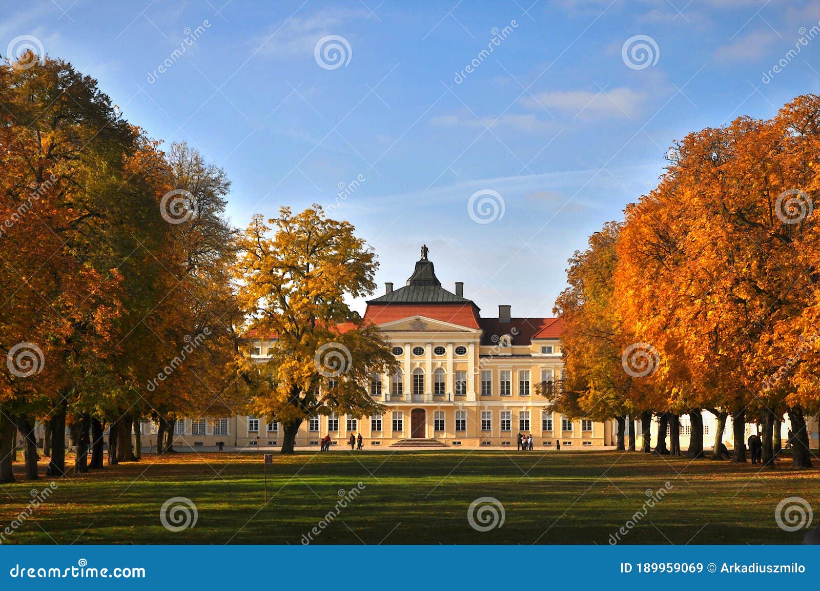 raczynski palace and branch of national museum in rogalin