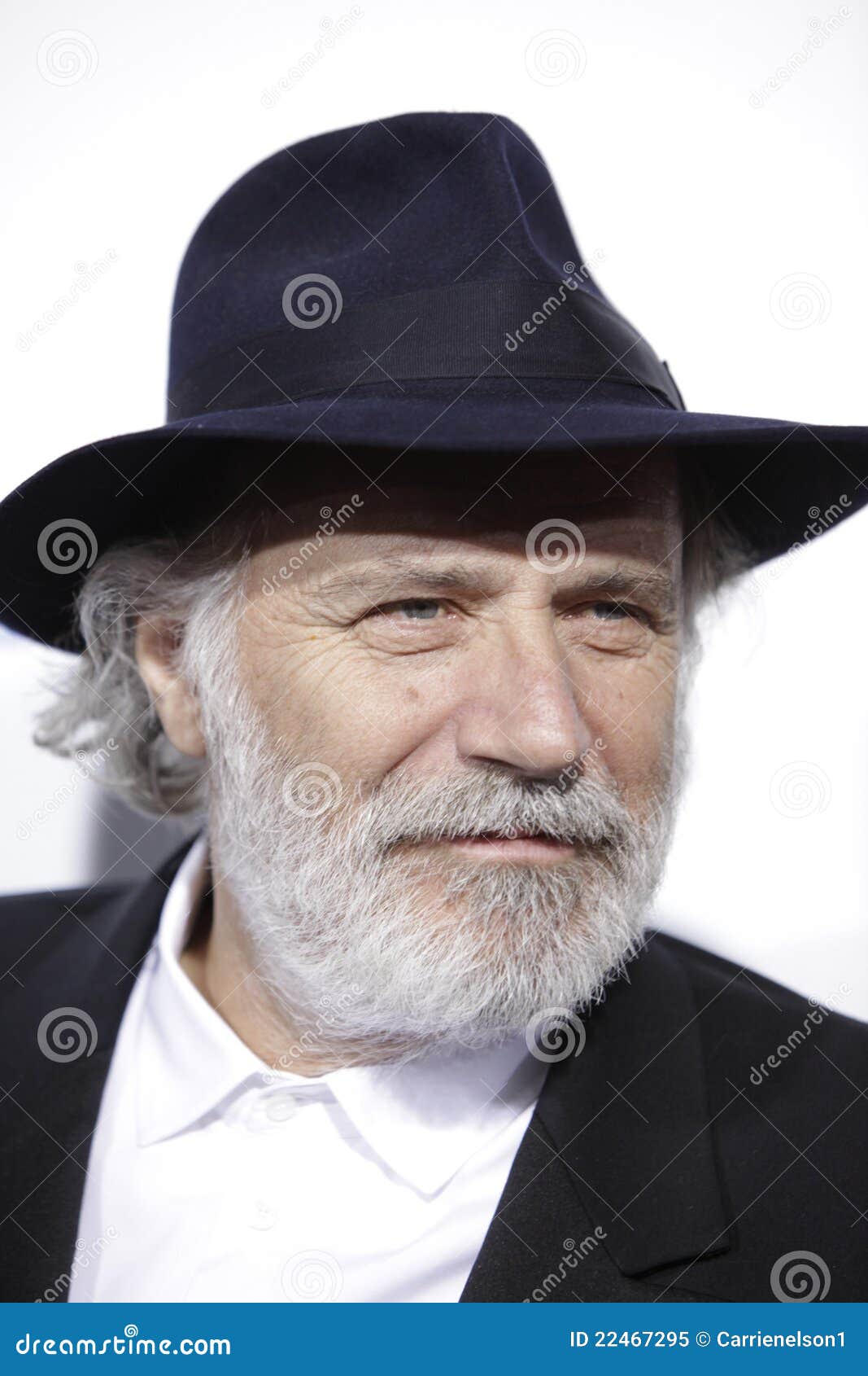 Rade Serbedzija editorial image. Image of serbedzija - 22467295