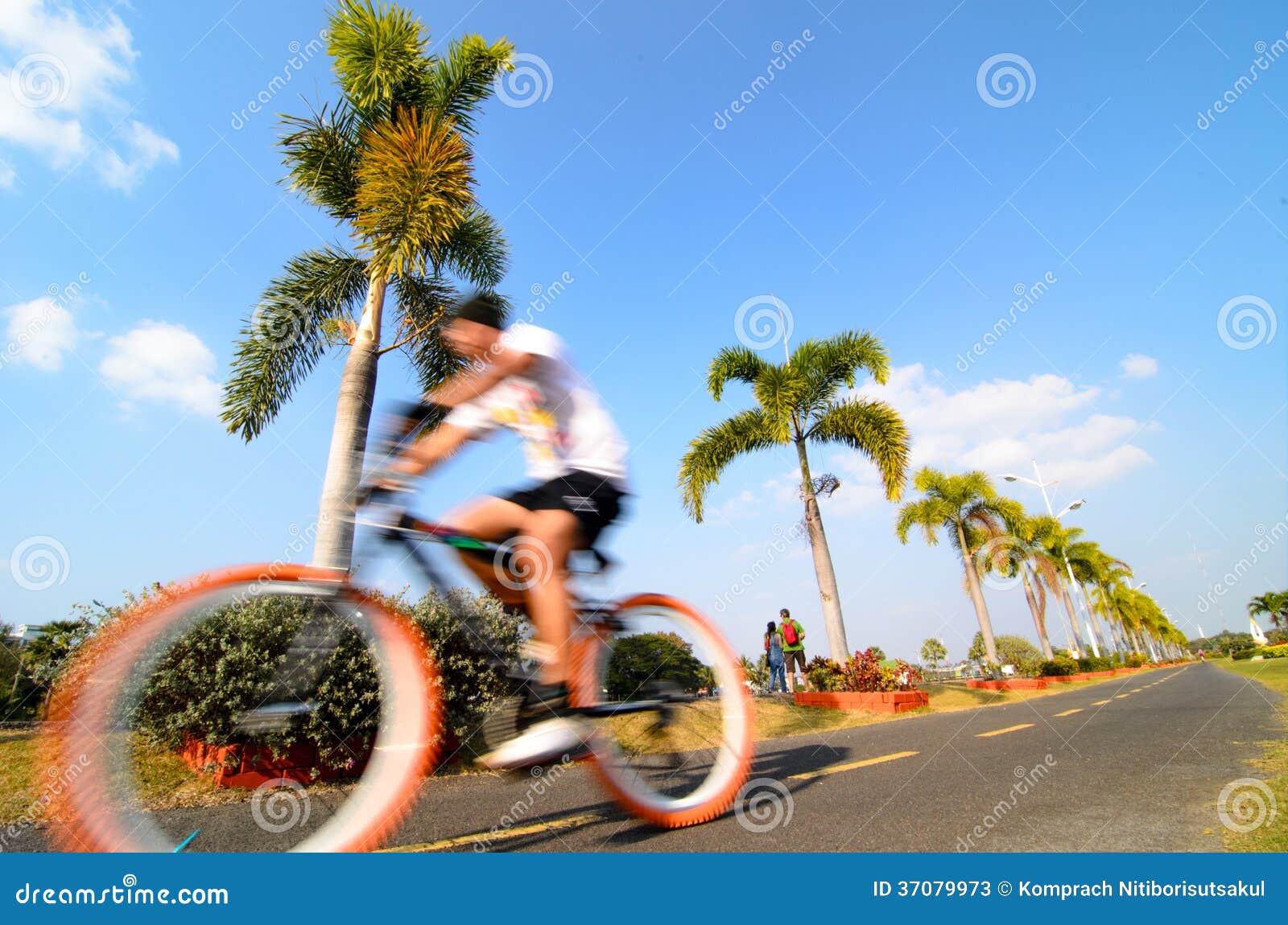 Radfahren. Mann fuhr Fahrrad im Park.