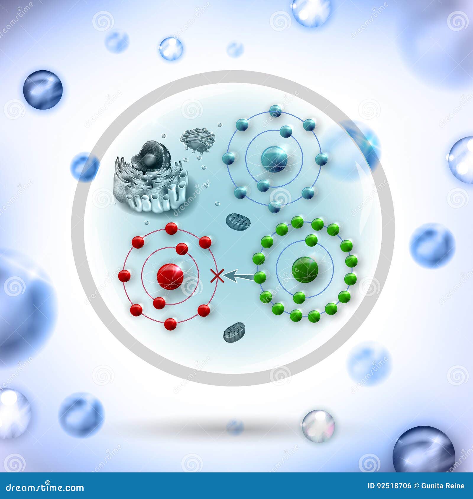 Radical Antioxidante Y Libre Ilustración del Vector Ilustración de