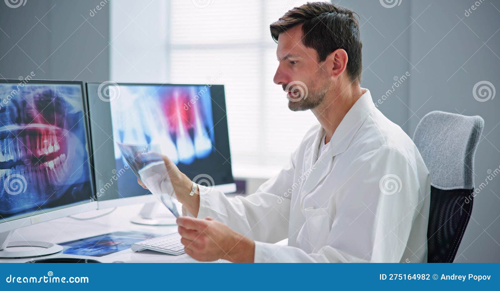Radiologist Dentist Using X Ray Software Stock Photo Image of
