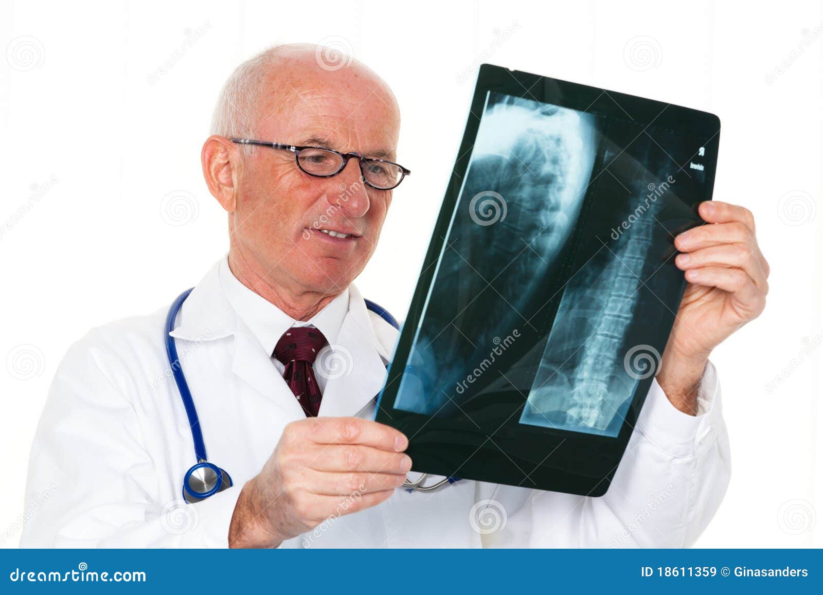 Radiologist with Xray Image Stock Image Image of appointment