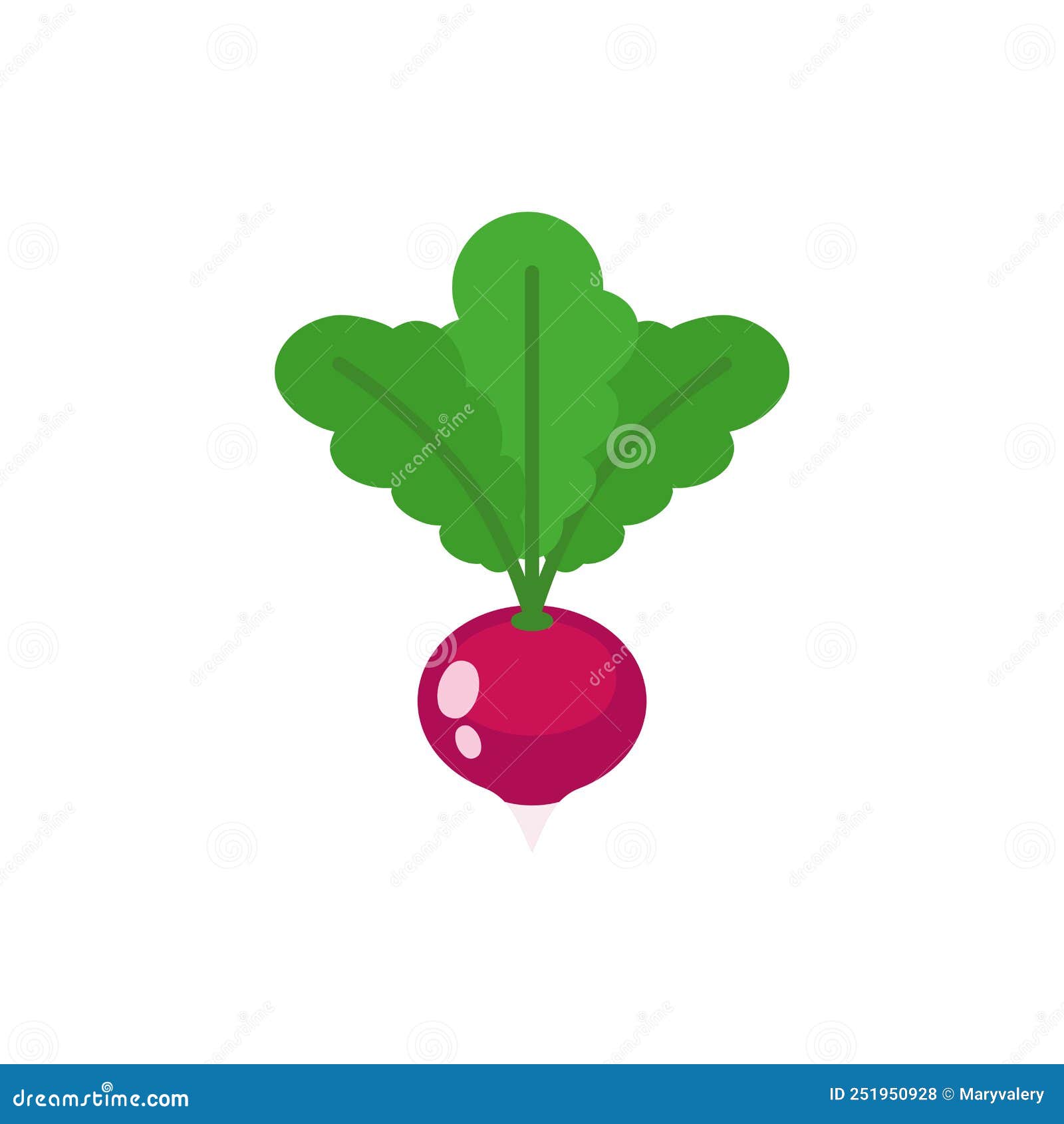Radish Isolated. Vegetable Garden Plant Vector Illustration Stock