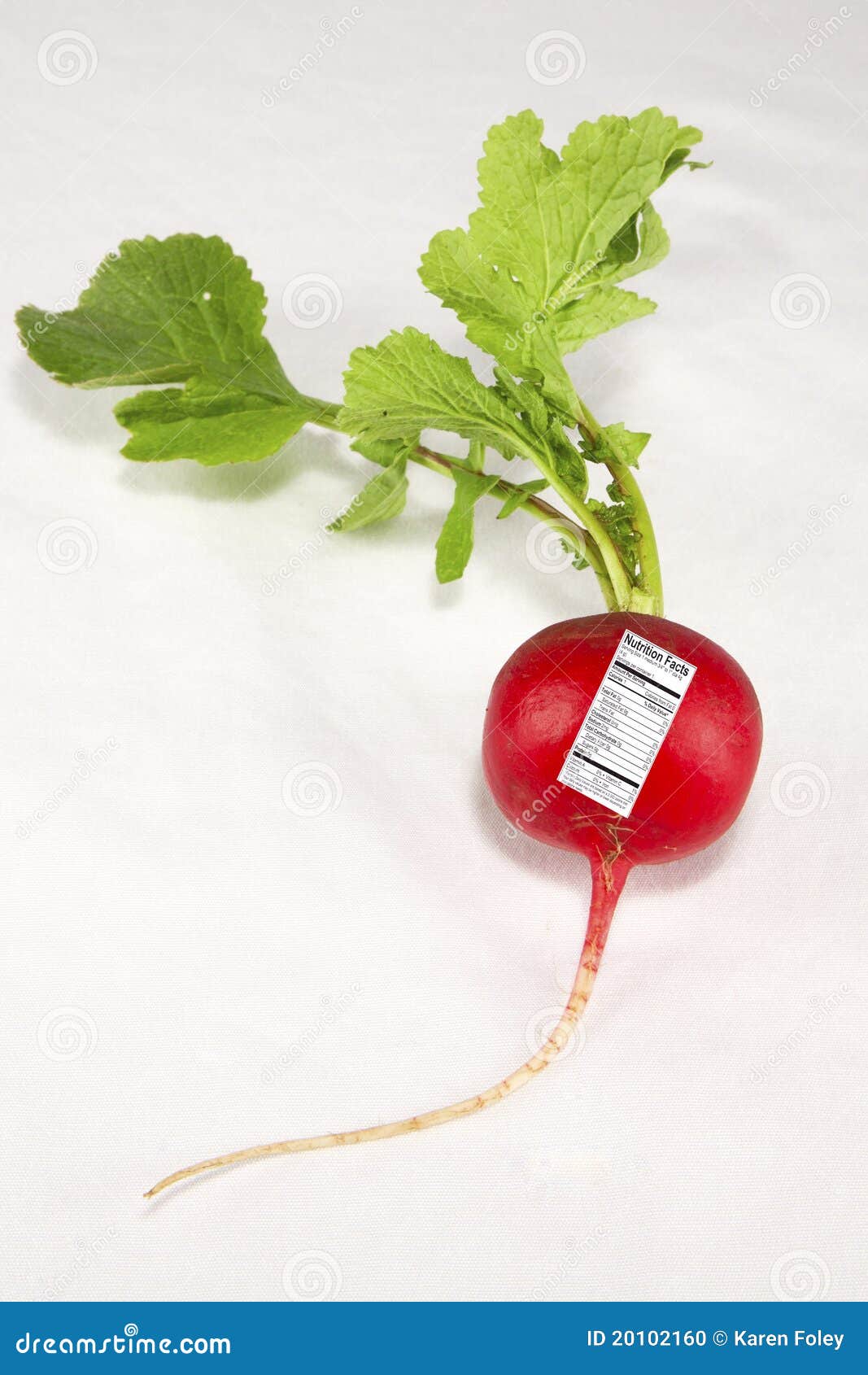 Radish With Nutrition Label Stock Photo Image Of Cruciferous Facts 20102160 radish-with-nutrition-label-stock-photo-image-of-cruciferous-facts-20102160