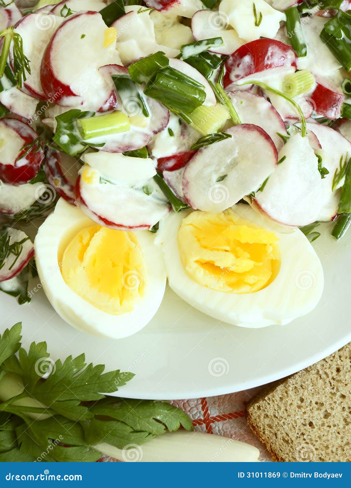 Radish Salad with Mayonnaise and Egg. Stock Image Image of meal, dill