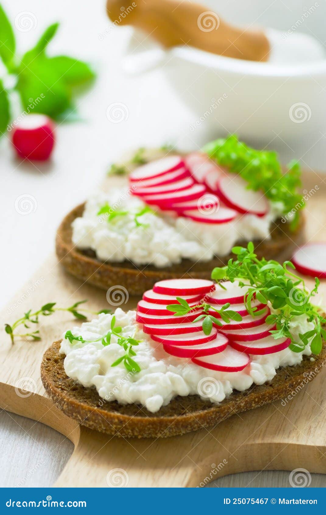 Radish sandwich stock image. Image of white, watercress 25075467