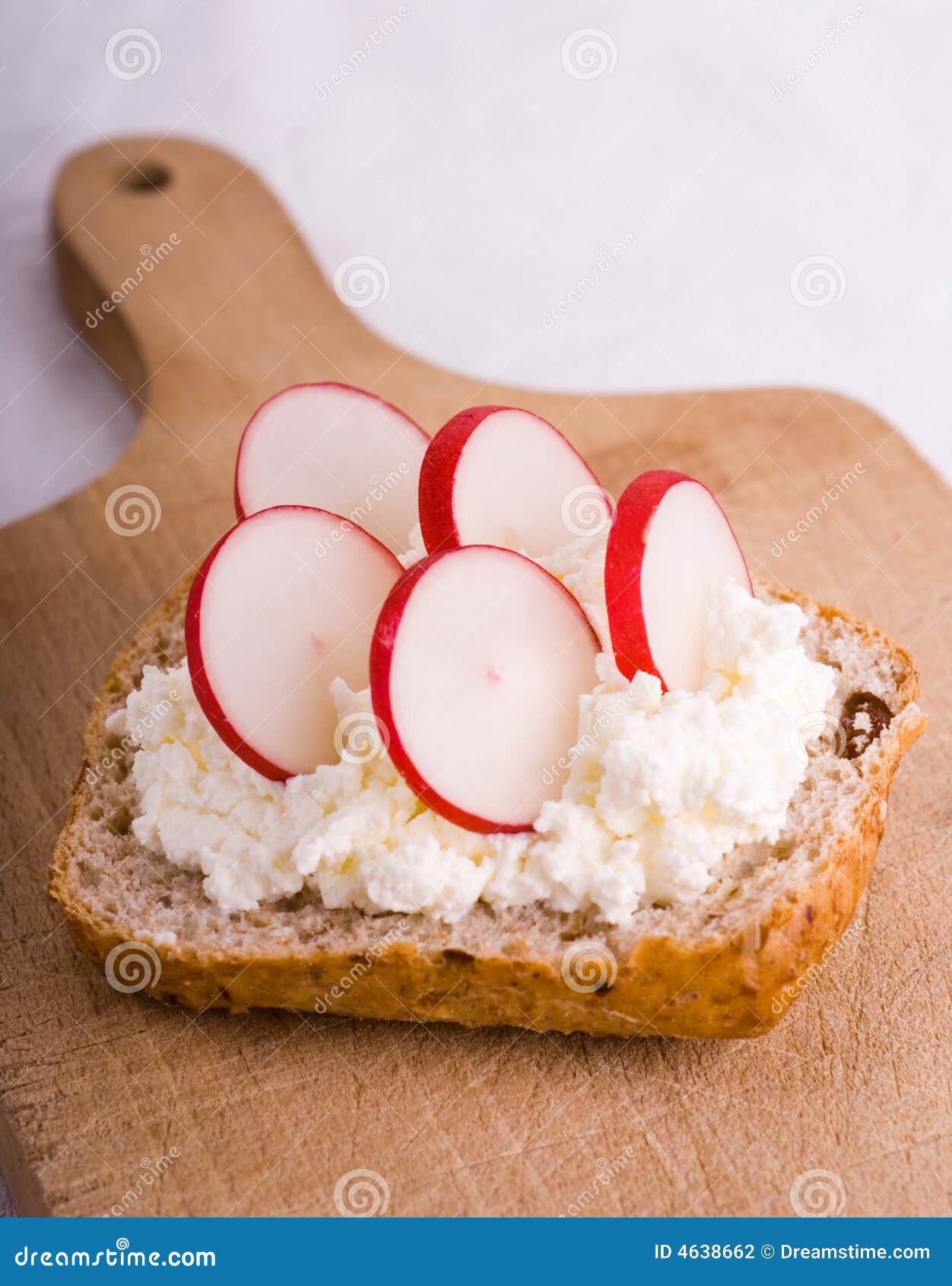 Radish sandwich stock photo. Image of board, sandwich 4638662
