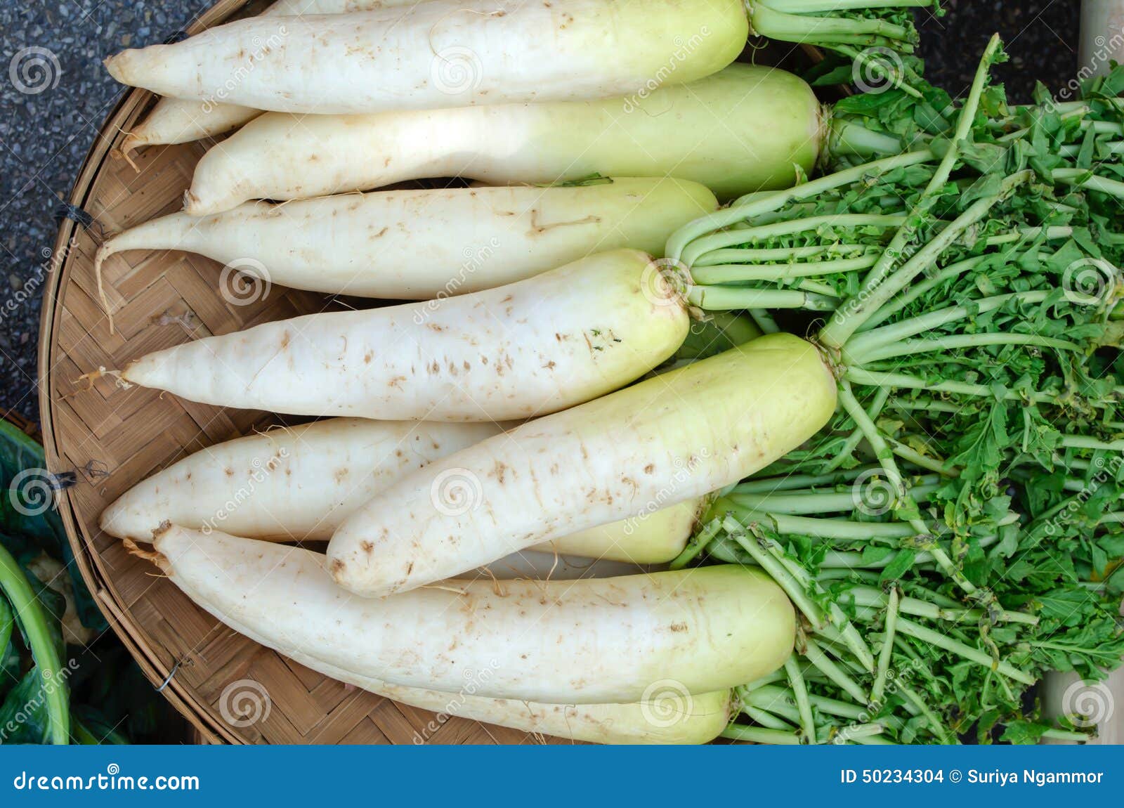 Radish stock photo. Image of korean, large, color, fresh 50234304