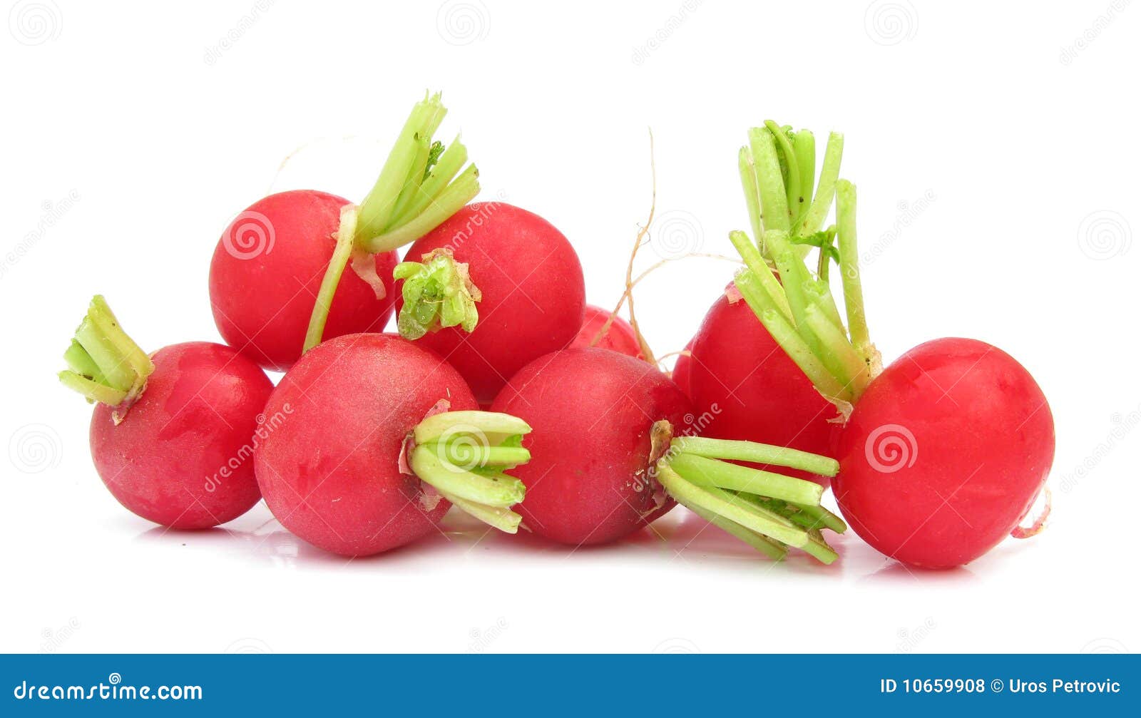 Radishes stock photo. Image of leaf, edible, vegetable 10659908