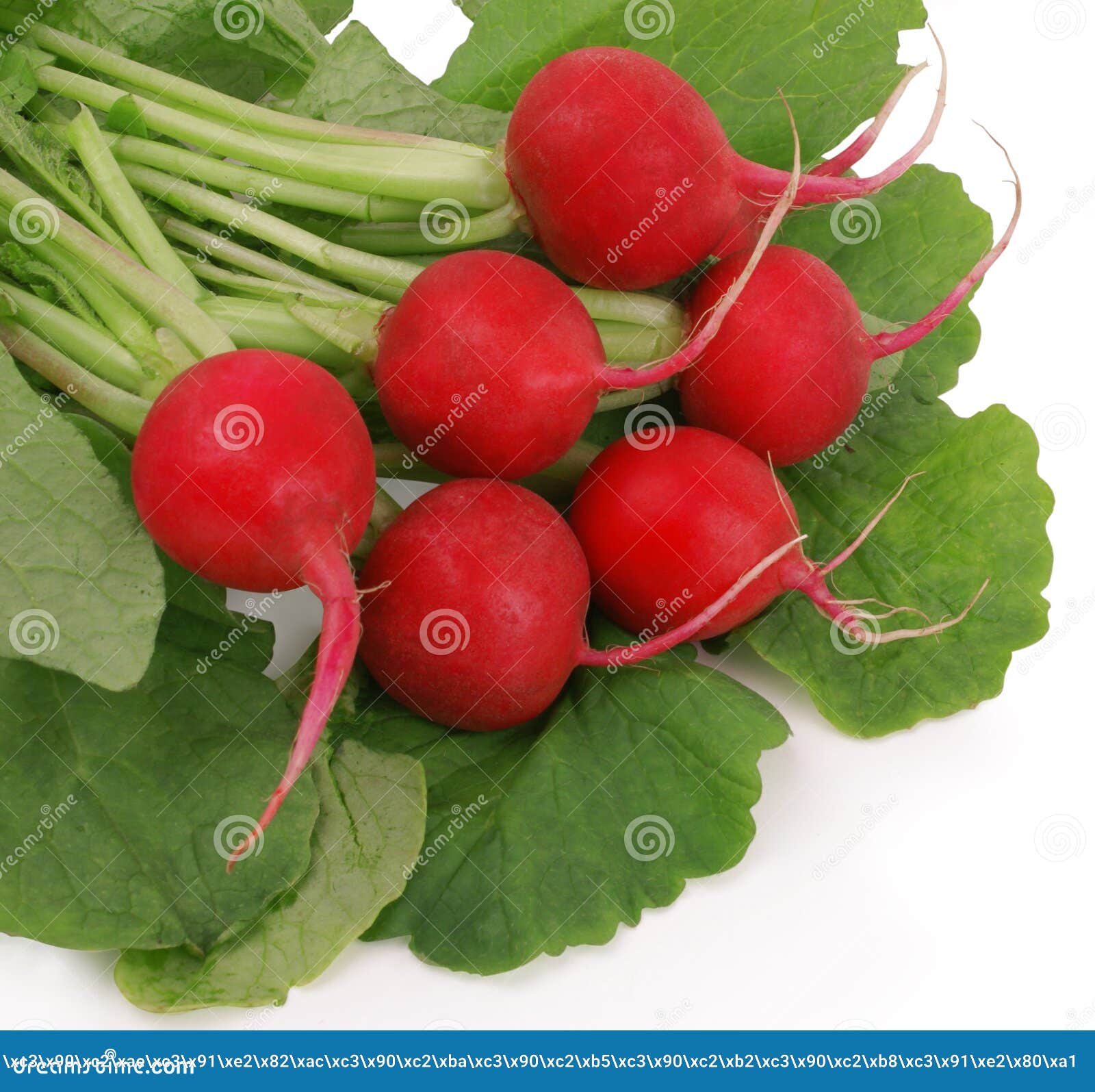 Radishes stock image. Image of healthy, clipping, health 12132041