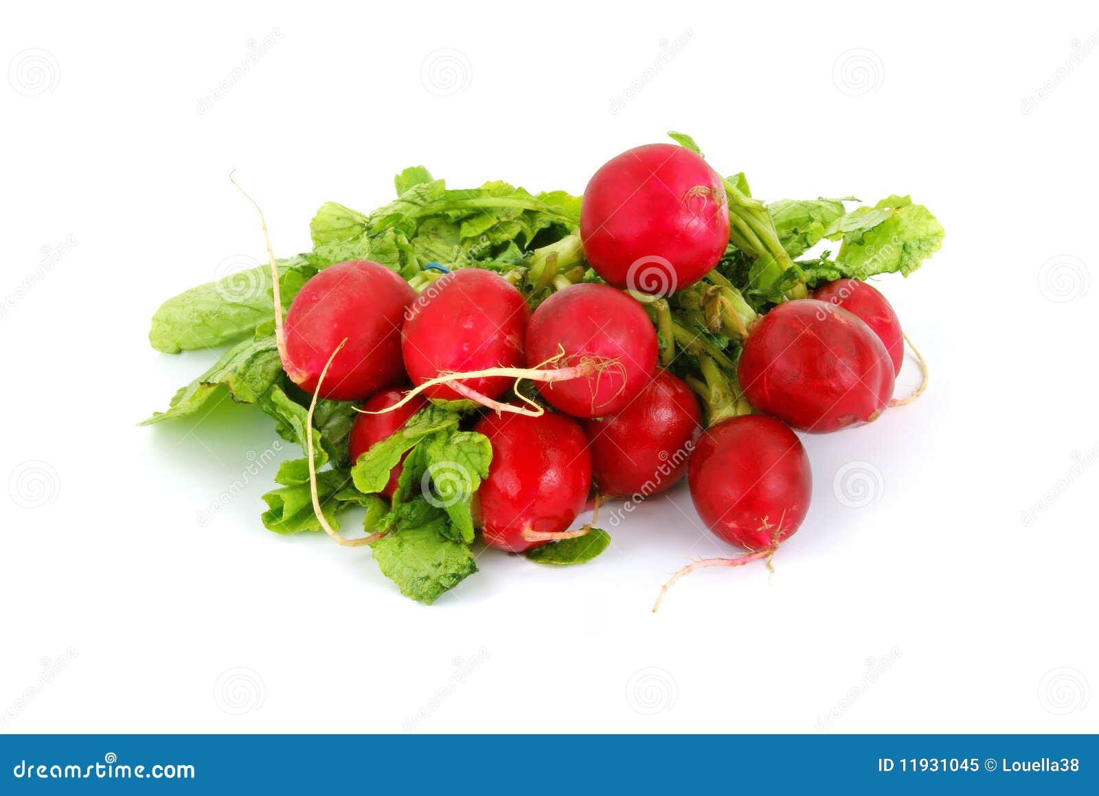 Radishes and leaves stock image. Image of mottled, radishes 11931045