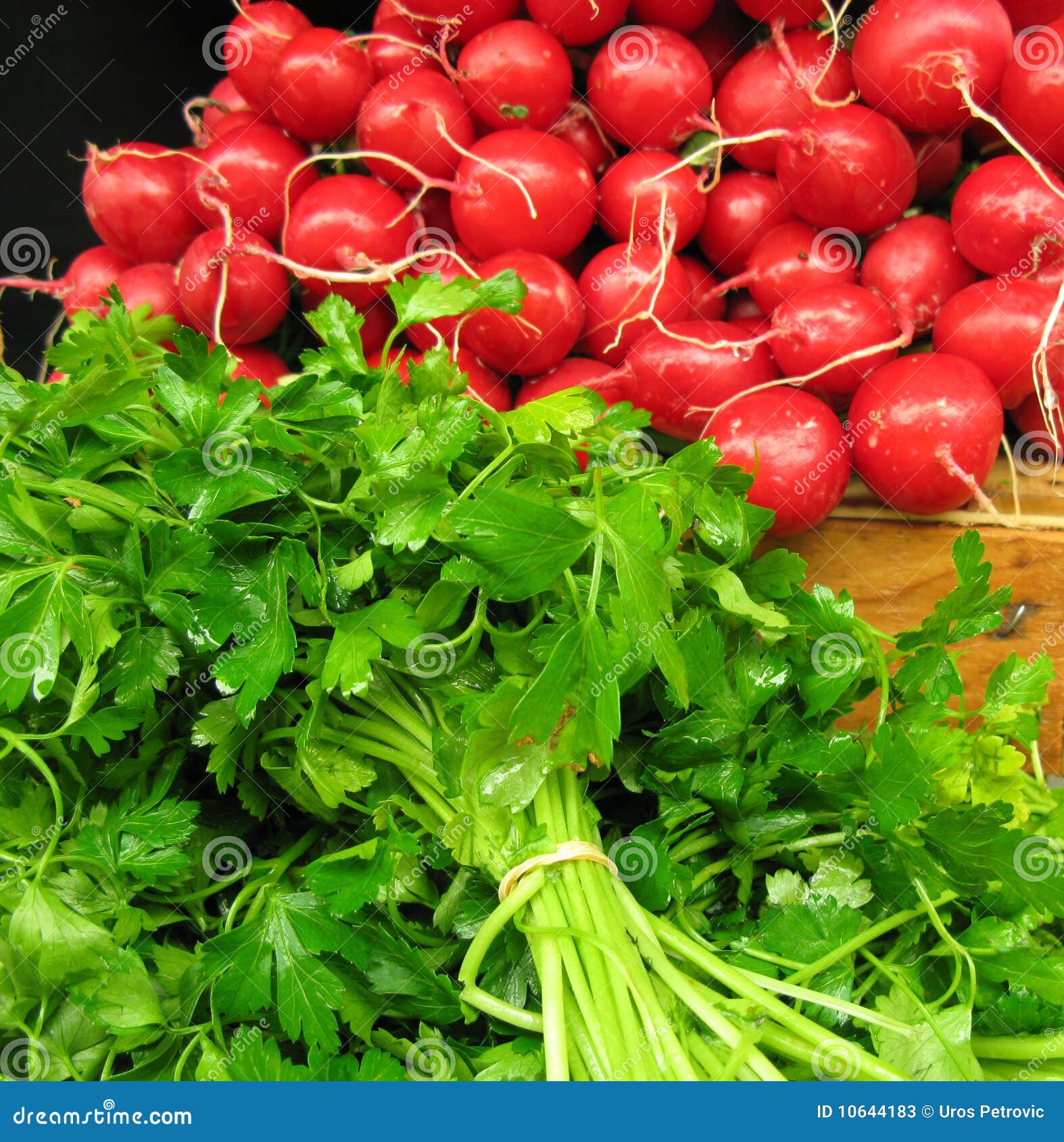 Radishes and parsley stock image. Image of bunch, raphanus 10644183