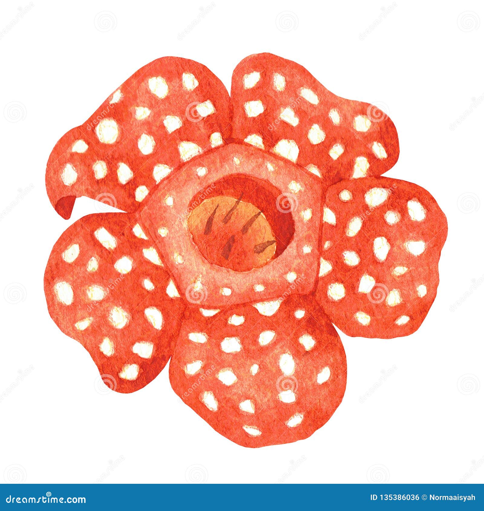 Bunga rafflesia arnoldi