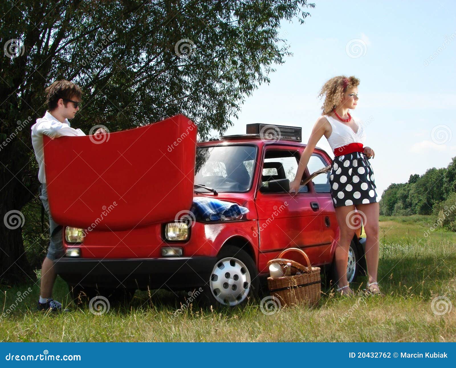 Ragazza Sul Picnic Con Il Cestino Ed Il Vino Fotografia Stock - Immagine di  allegro, bello: 20432762