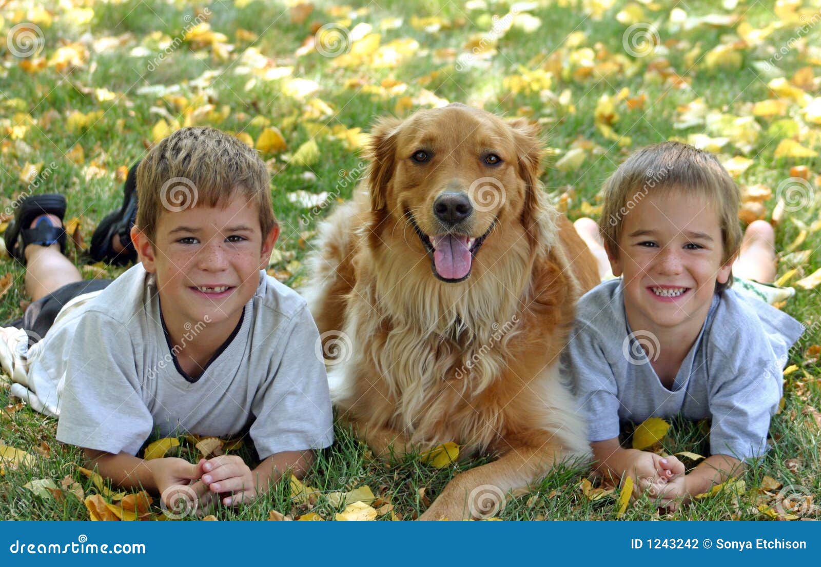 Мальчик и две собаки. Два мальчика и собака. Мальчик с собакой. Два мальчика, девочка и собака. Мальчик играет с собакой.