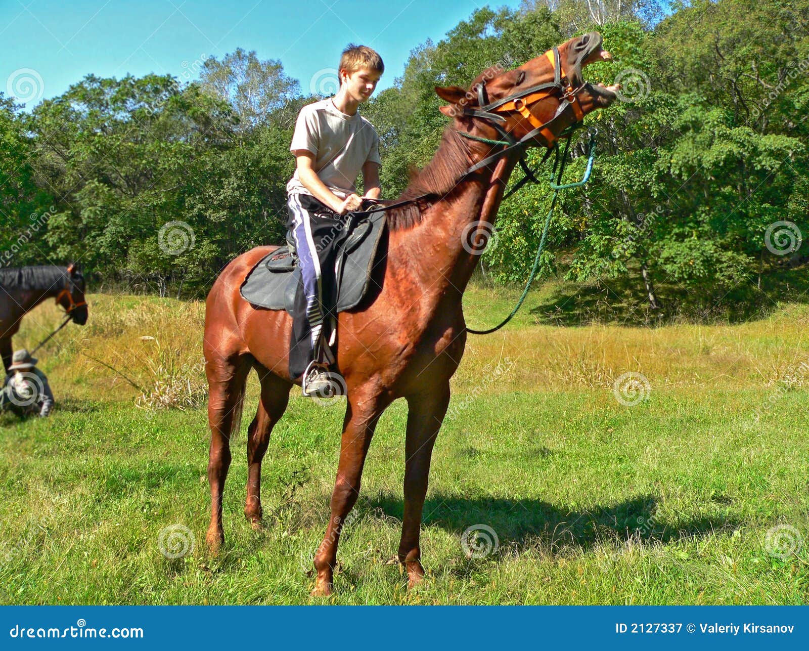 Ragazzo sul cavallo immagine stock. Immagine di stallone 2127337