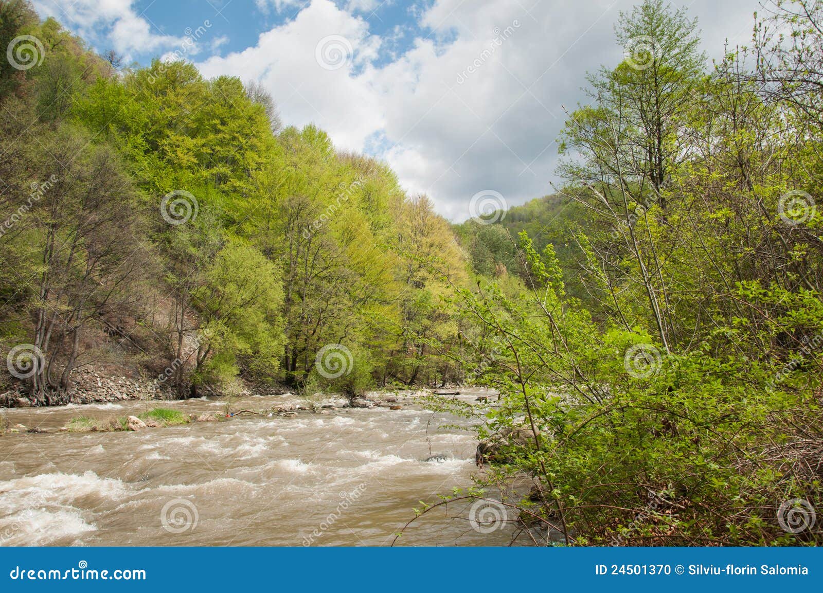 Raging River Through Green Lush Vegetation Stock Photo Image of