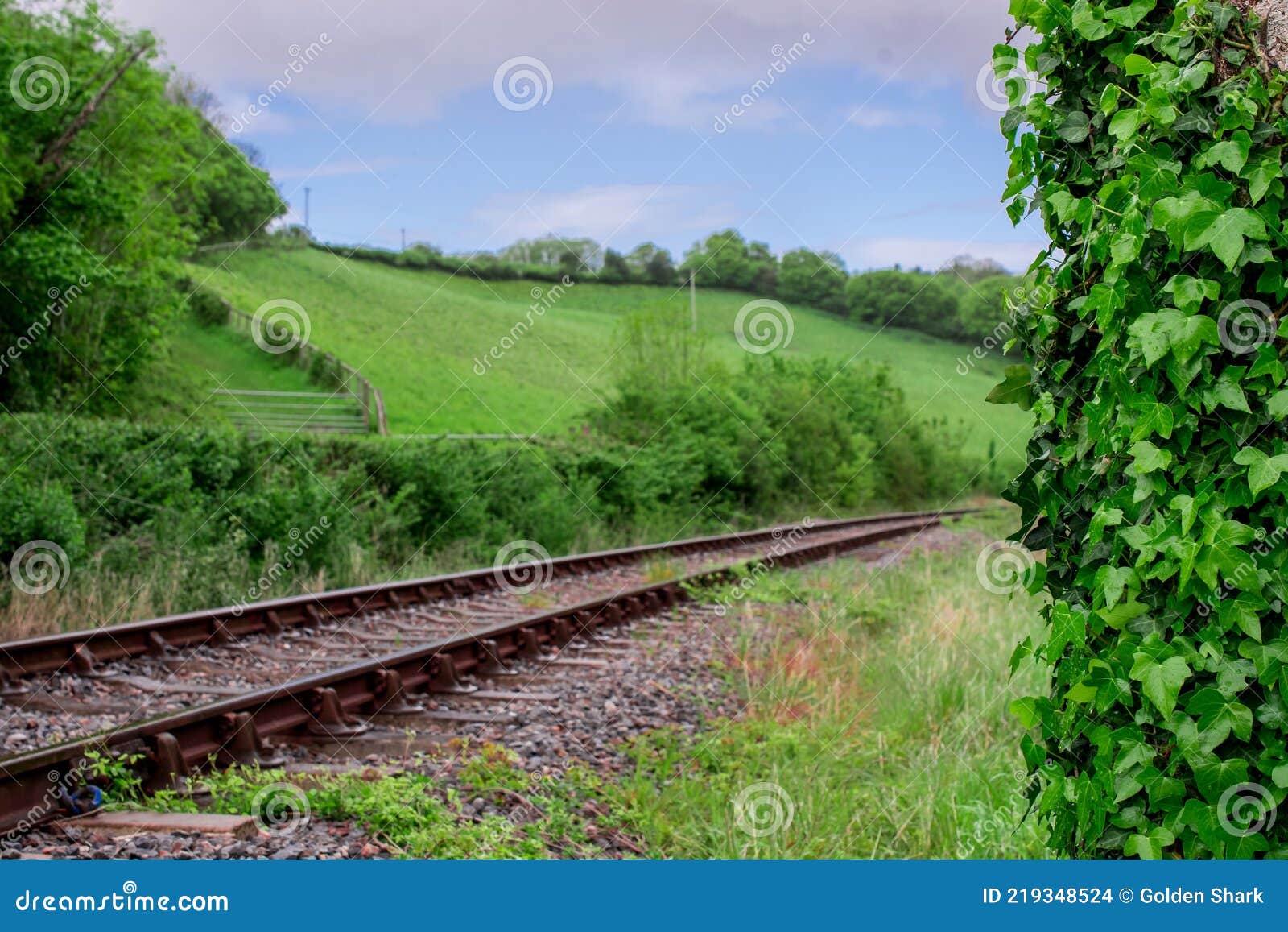 Rail the Tracks of the UK Railways Stock Photo Image of logistic