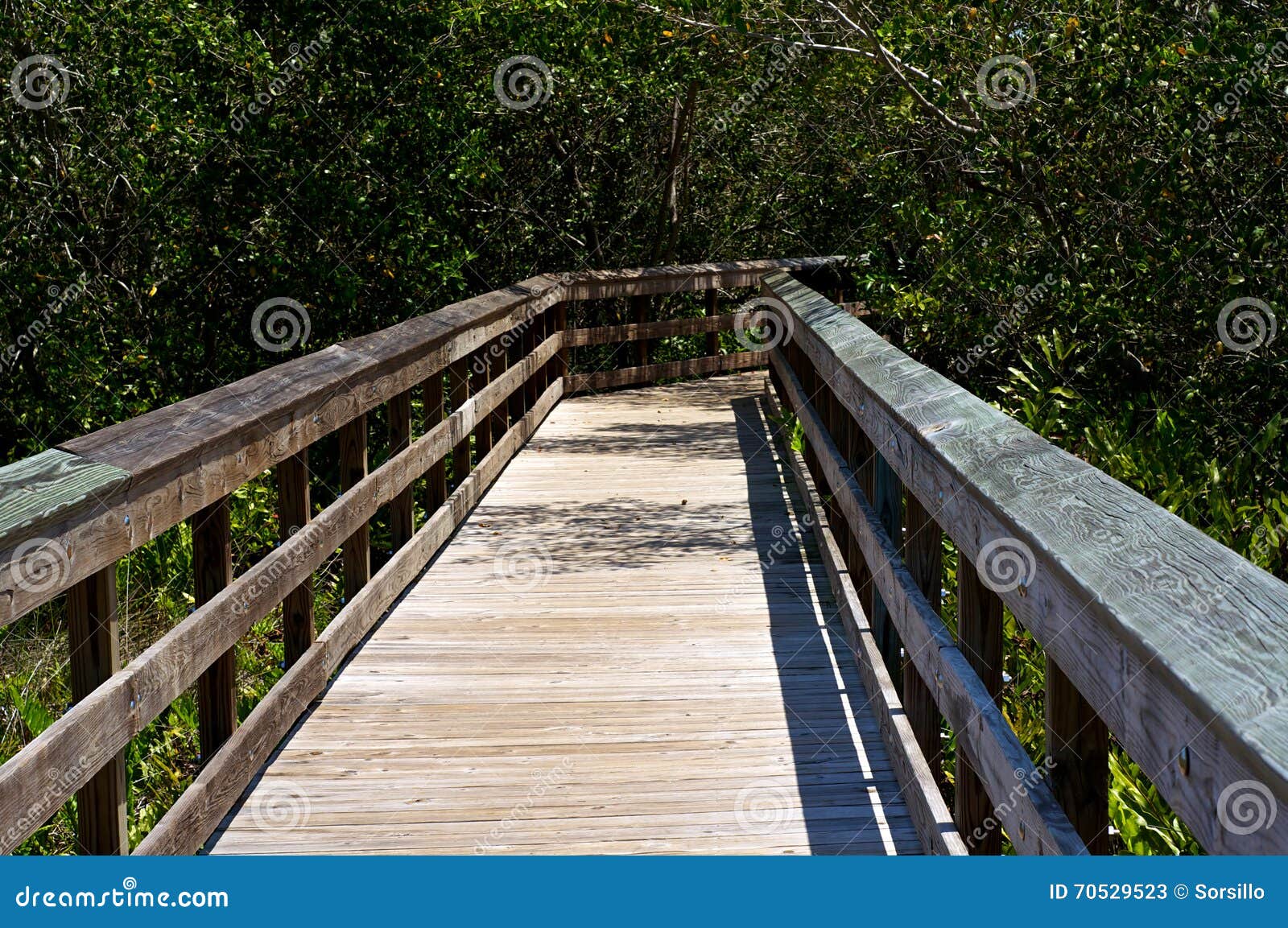 Railed wooden boardwalk in florida. Looking down the length of a wooden boardwalk surrounded by subtropical vegetation on a sunny day in Bonita Springs Florida.