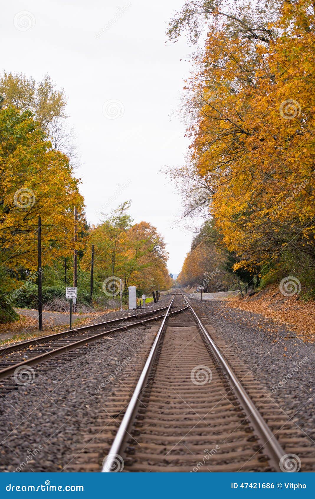 Railroad tracks converging into one of the two metal rails, wooden 