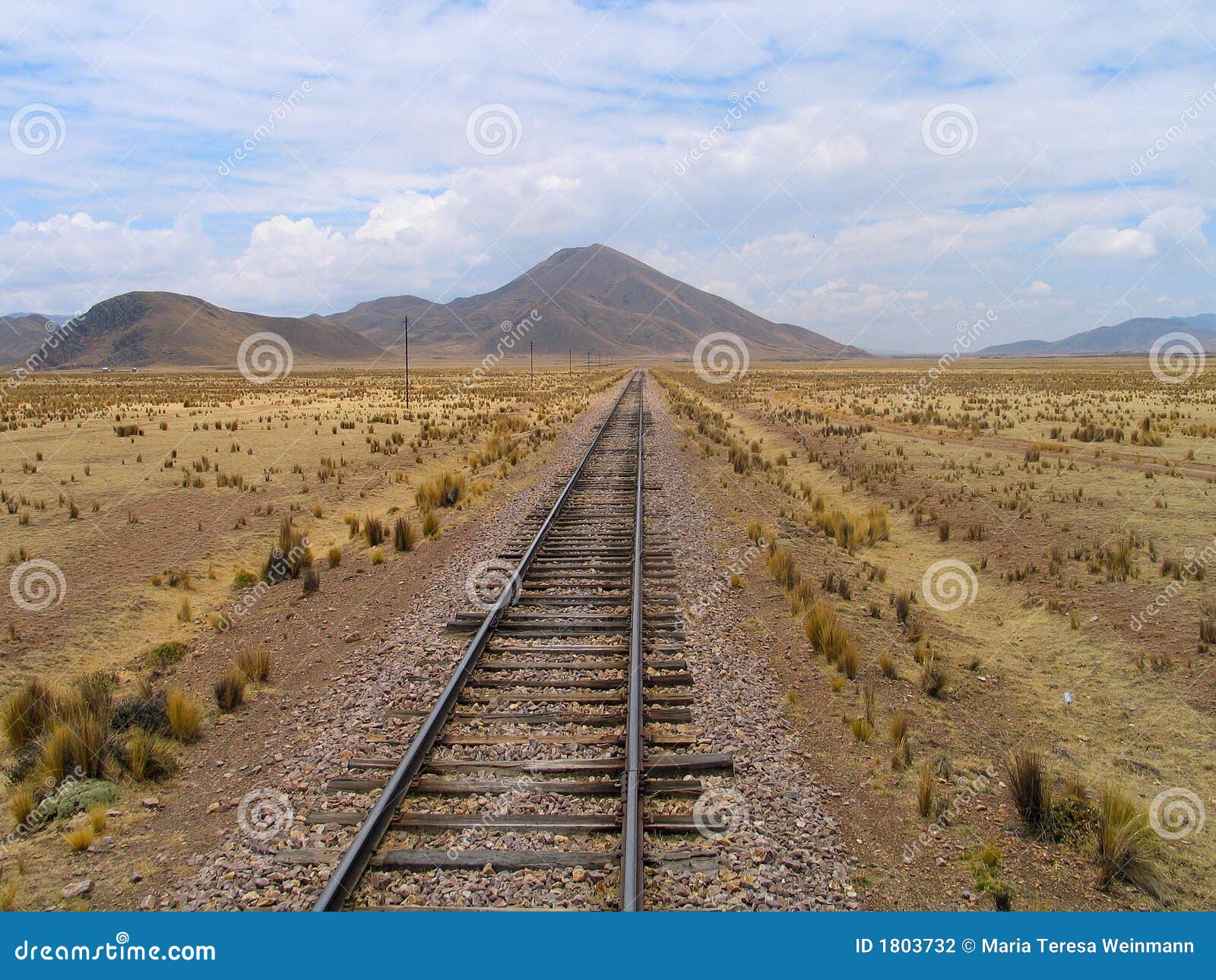 railroad-track on the altiplano (peru)