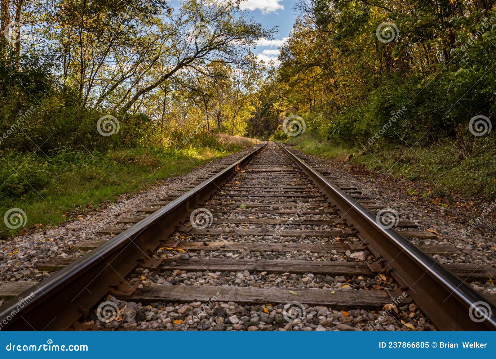 Railroad Tracks through Cuyahoga Valley Stock Image Image of akron