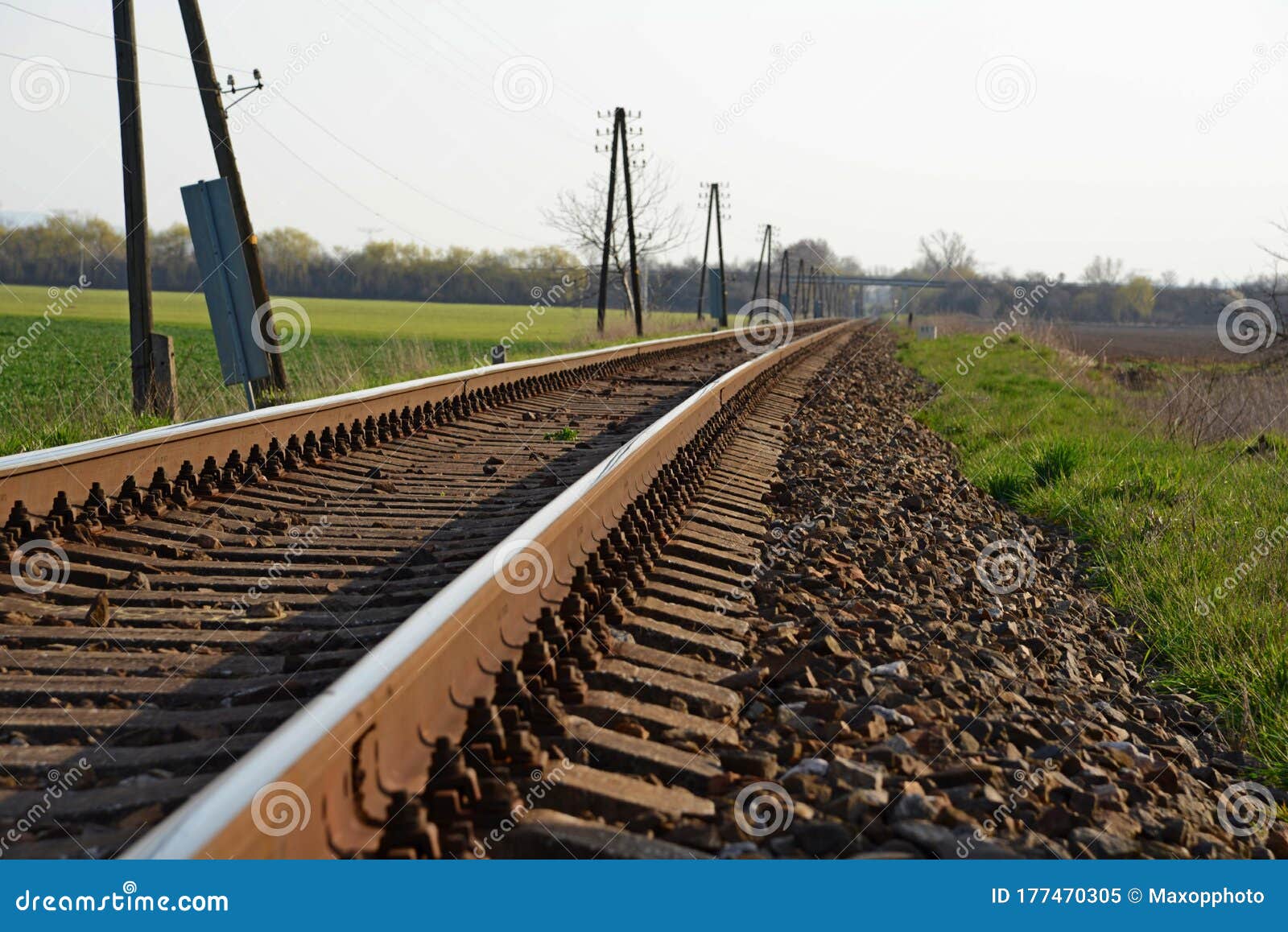 Railroad Tracks with Electric Poles and Sky Stock Image Image of line