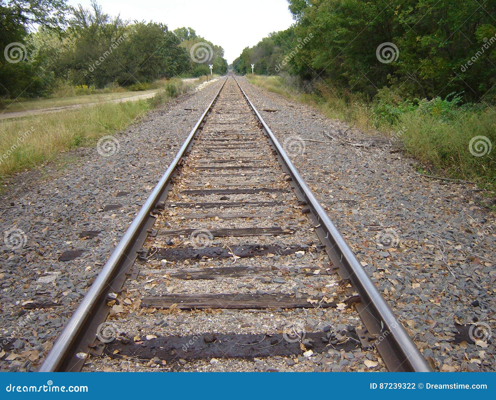 Railroad Tracks Near the Woods Stock Photo Image of isolated, hope