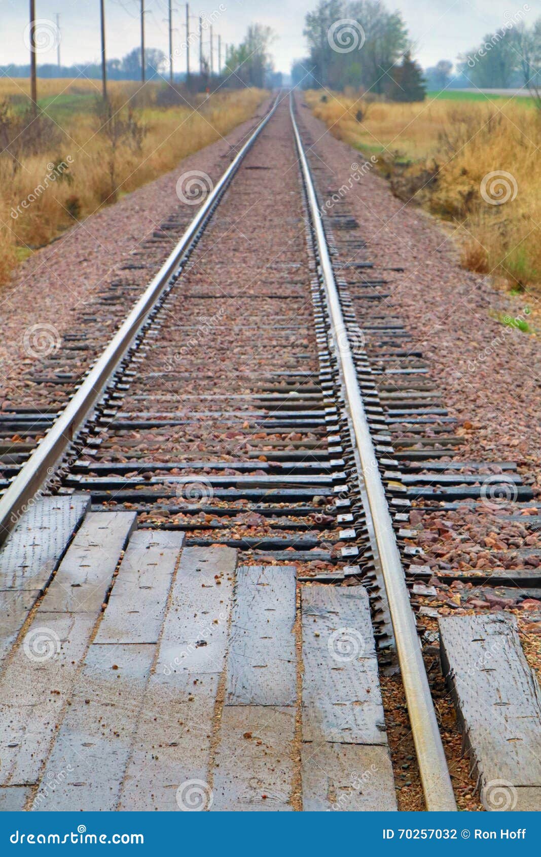Ribbons of Rail