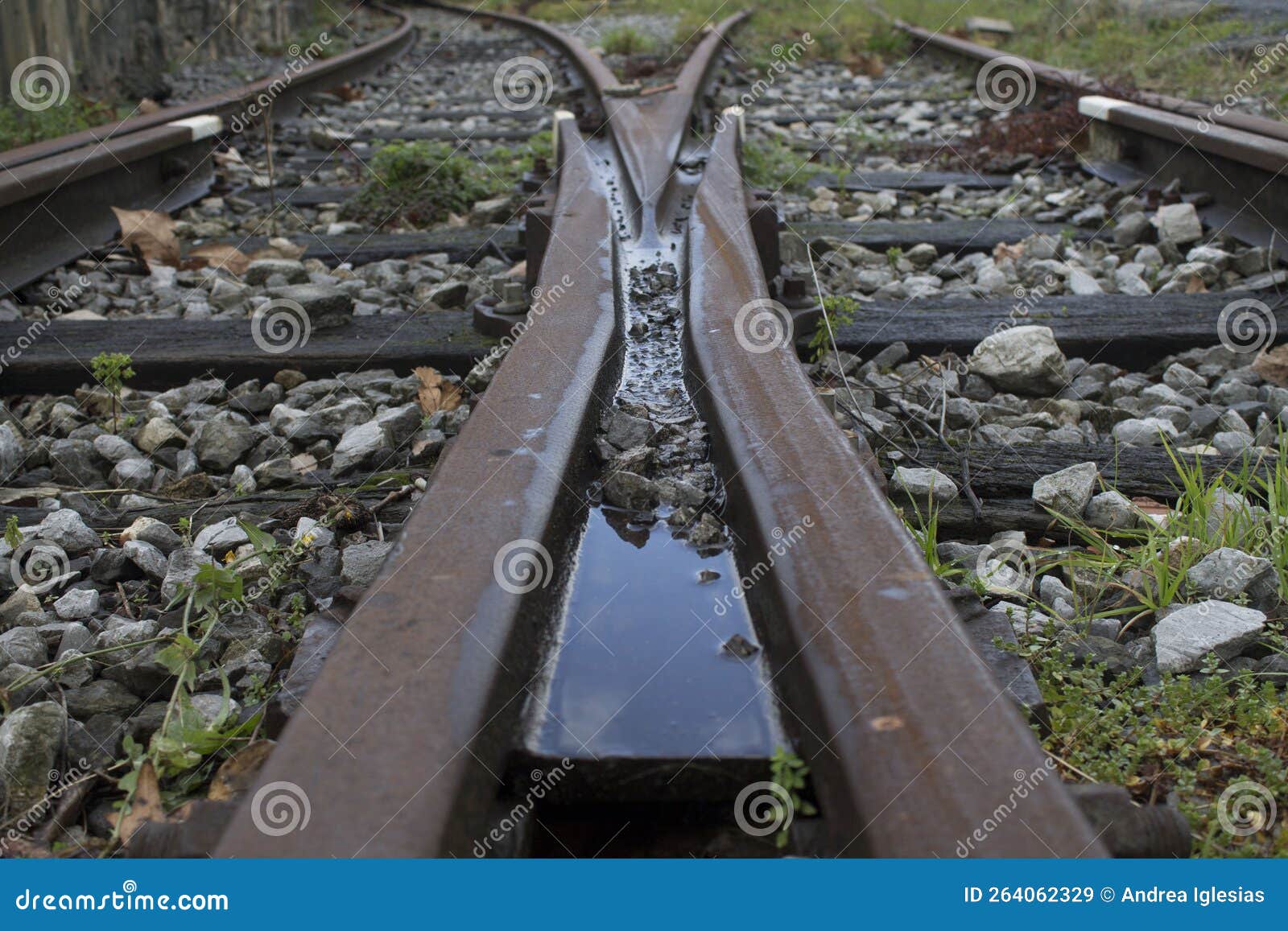 Railroad Tracks Vanishing Point Stock Image Image of journey, dual
