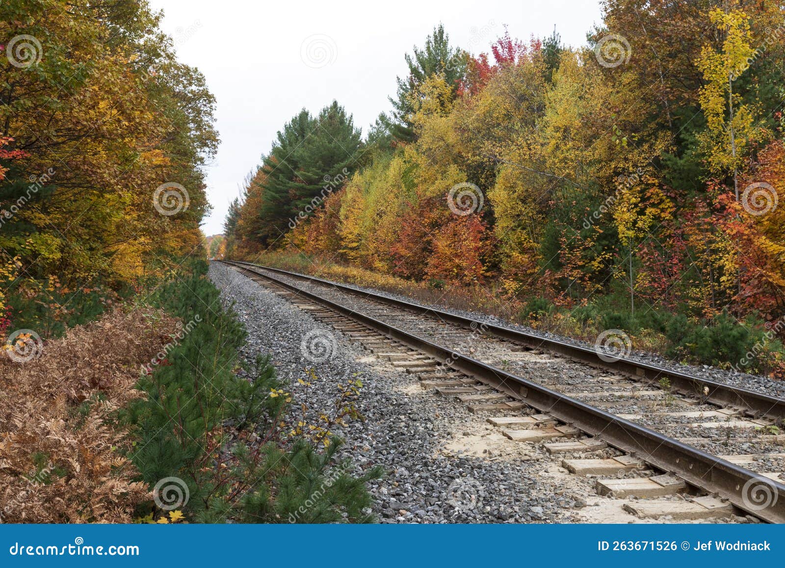 sainte ursule, canada, 10-12-2022. railway with fall colors in background near sainte ursule waterfall. canada.