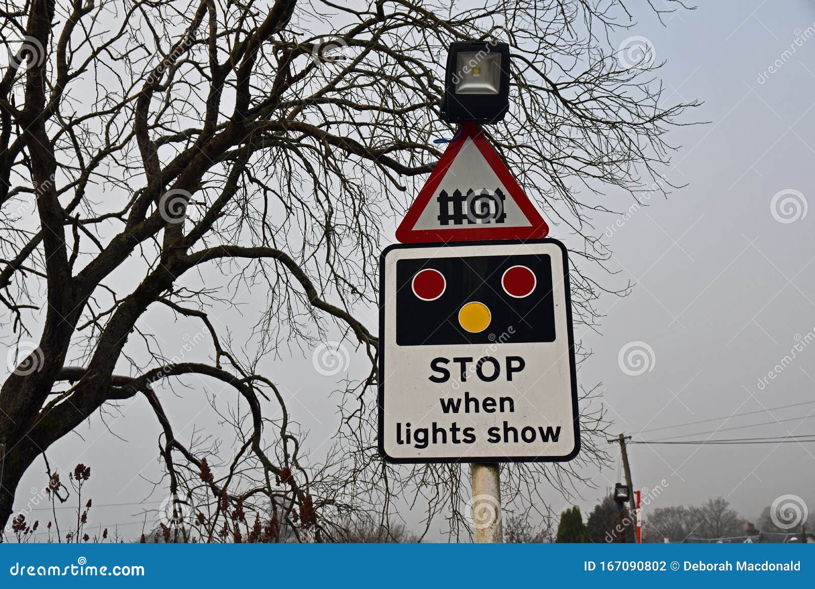 Railway Level Crossing Stop Sign Uk Stock Photo Image Of Track Railway