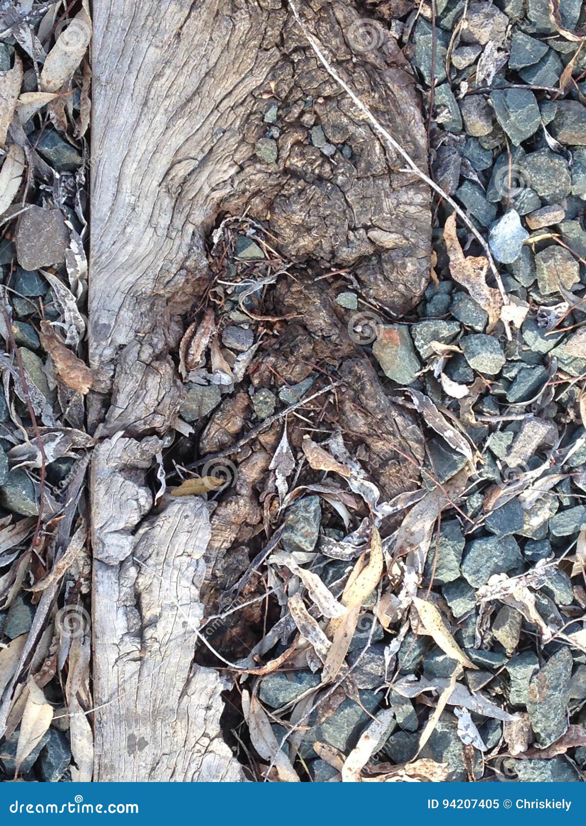 railway sleeper