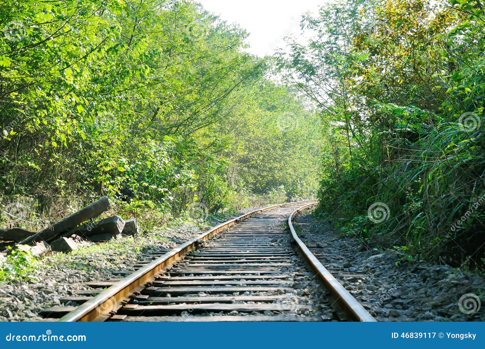 Railway track stock image. Image of tunnel, tree, straight 46839117