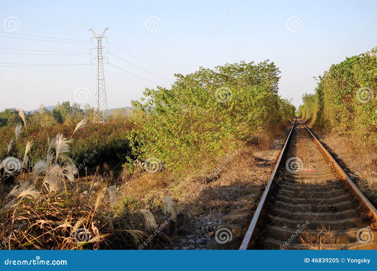 Railway track stock image. Image of green, tunnel, tourist 46839205