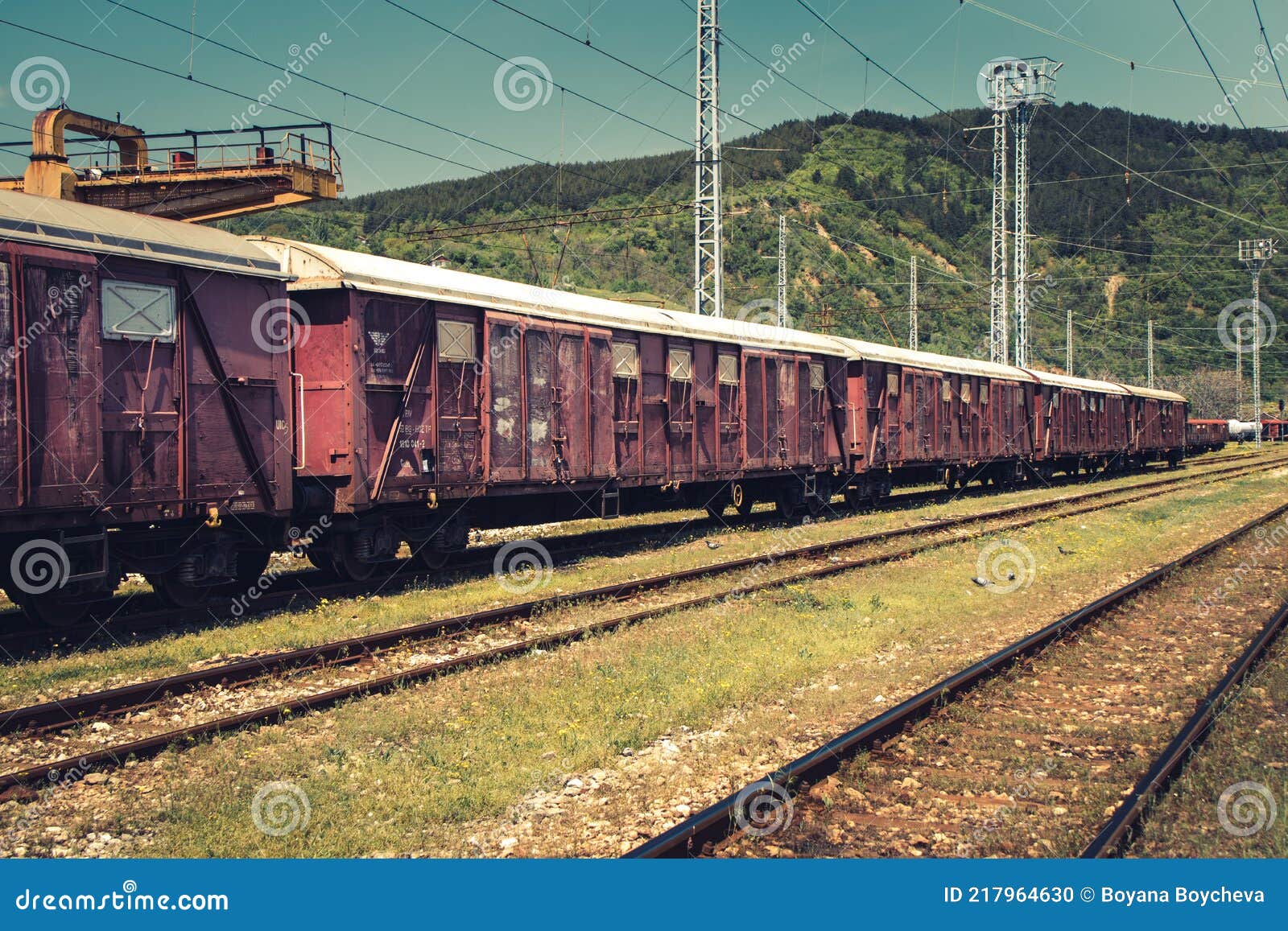 Freight Trains at a Railway Station with Details of Wagons Stock Photo