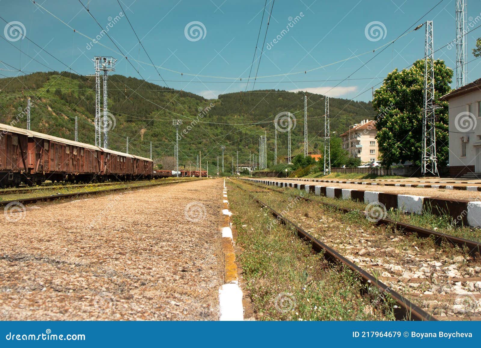 Railway Track with Freight Trains and Nature Stock Image Image of