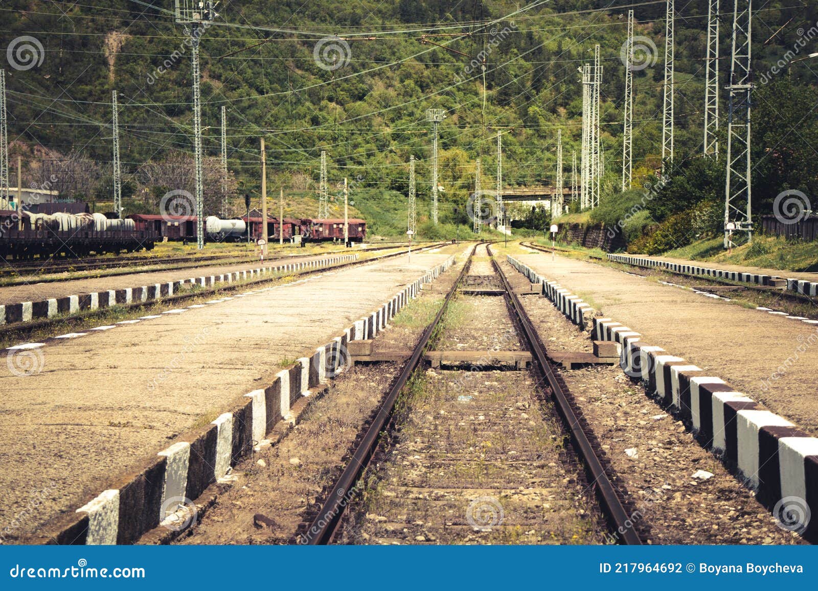 Railway Track with Freight Trains and Nature Stock Photo Image of