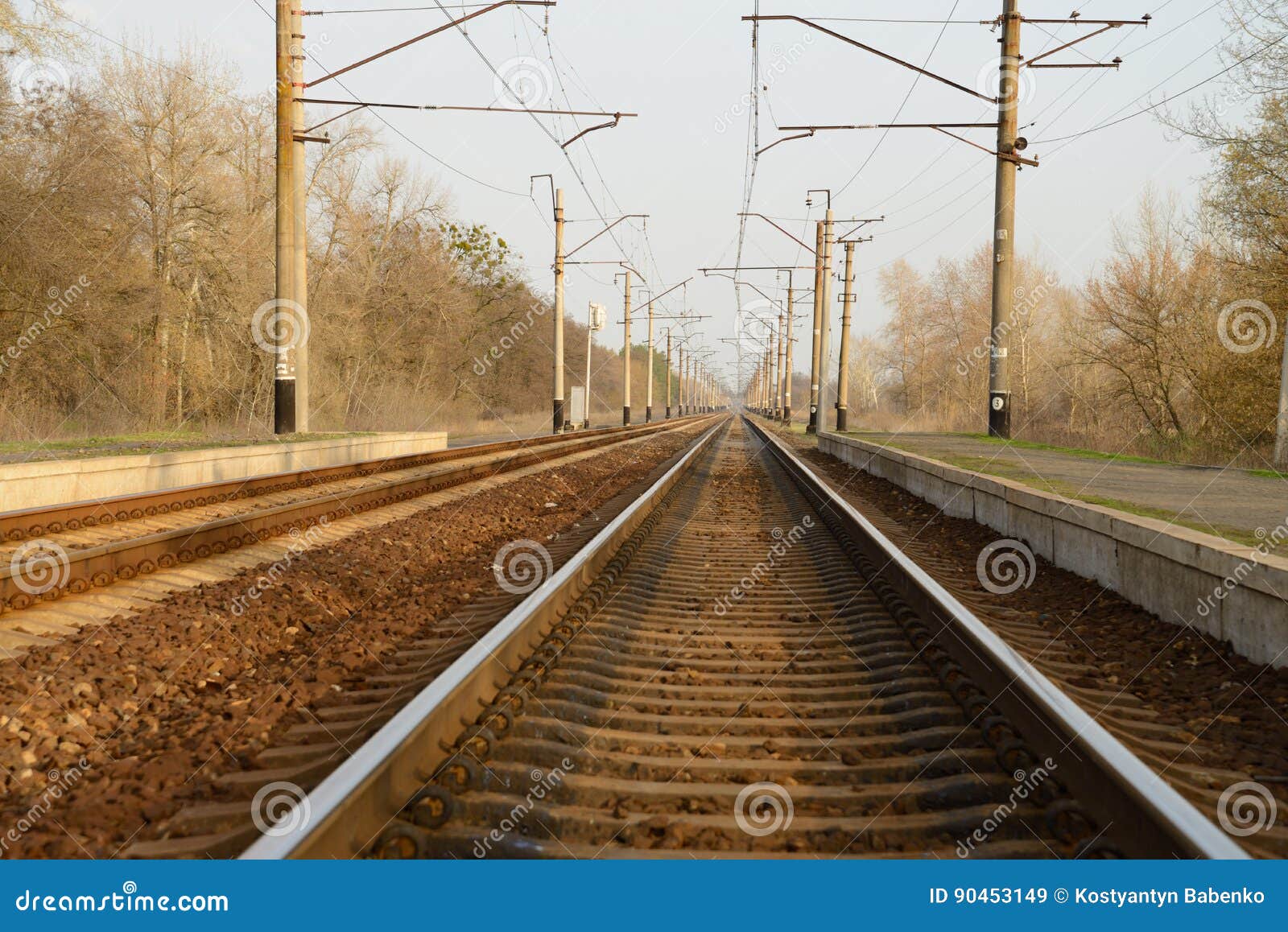 Railway Track Leaving into the Distance Stock Image Image of mound, trees 90453149