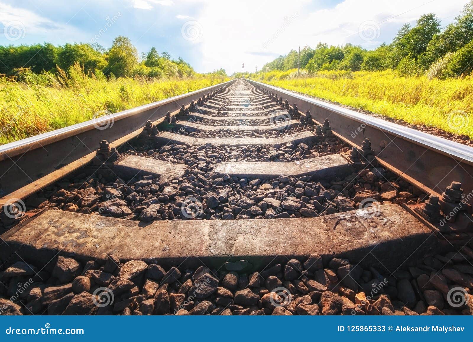 Railway tracks stock image. Image of green, evening 125865333