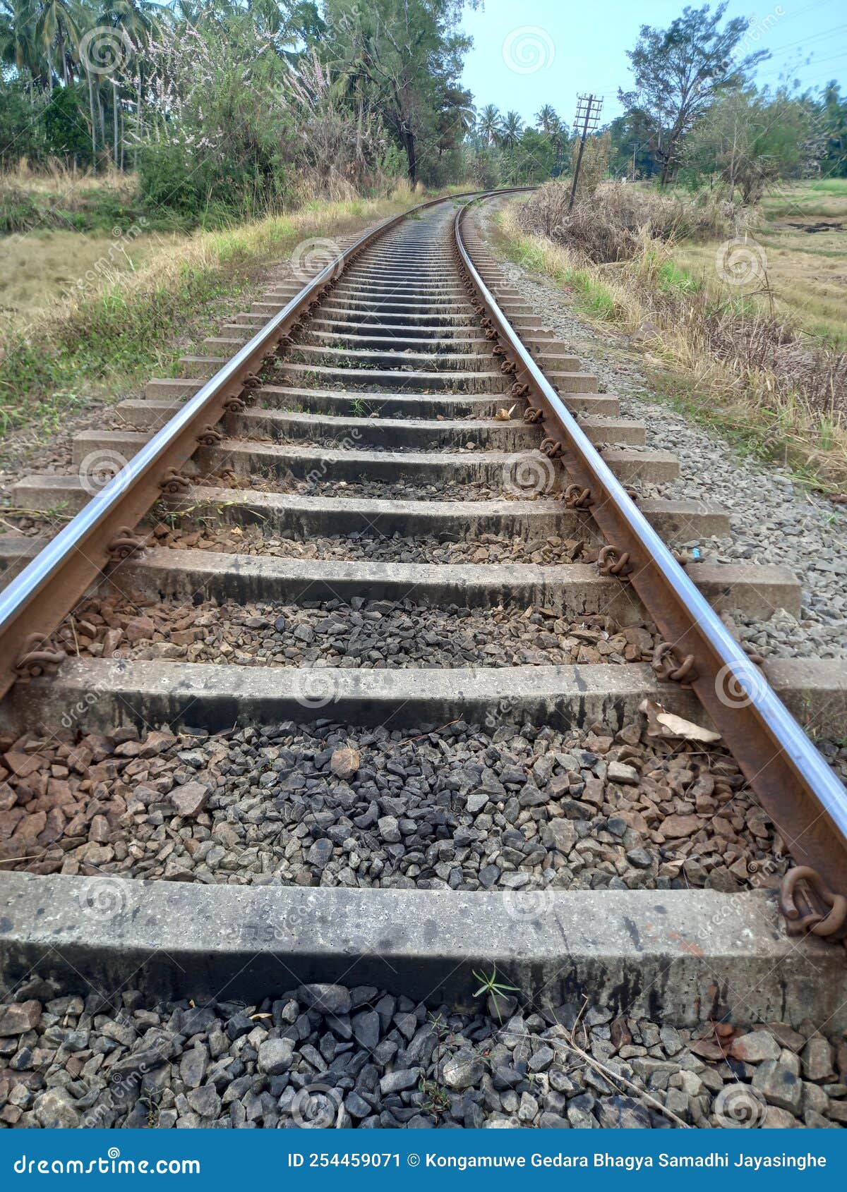Railway Tracks In Sri Lanka Stock Image Image Of Asia Lane 254459071 railway-tracks-in-sri-lanka-stock-image-image-of-asia-lane-254459071