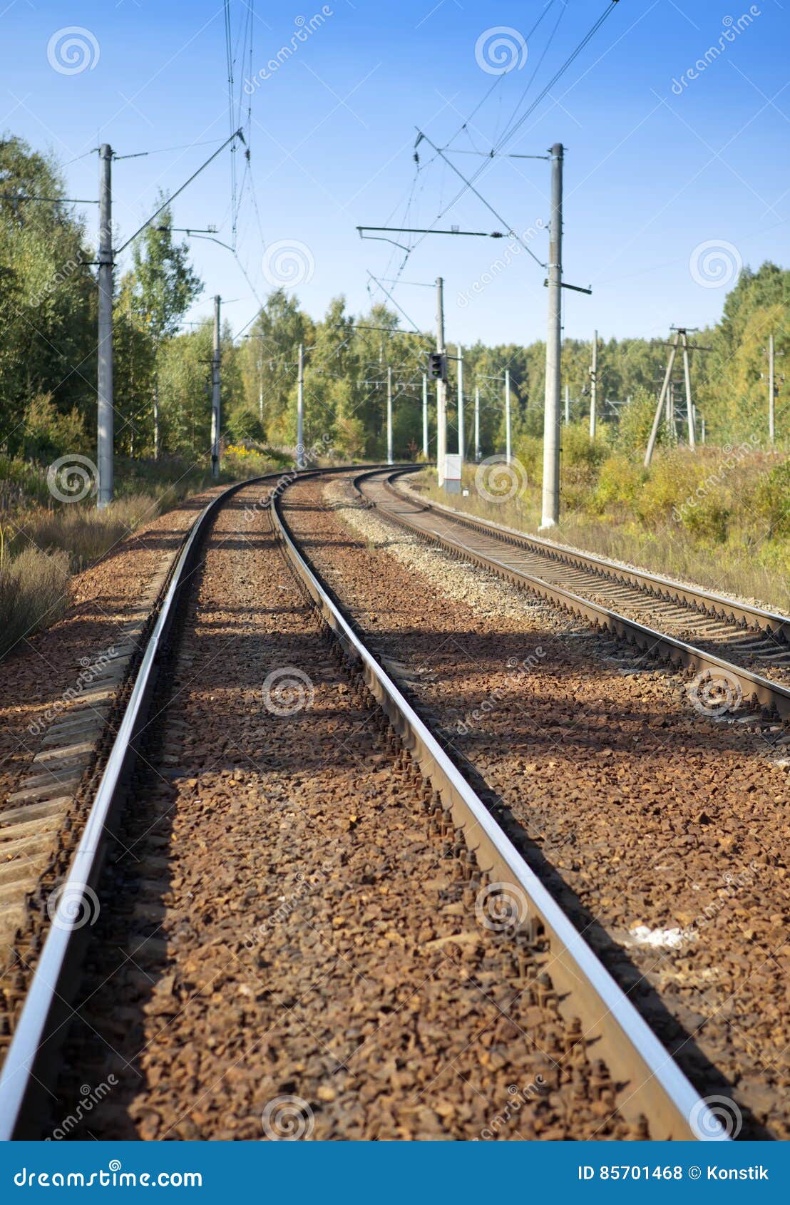Railway Tracks in the Wood in the Summer Stock Photo Image of freedom