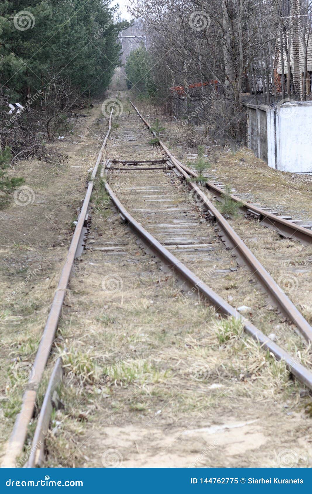 railway. wooden sleepers. retro. she is overgrown with grass. didn`t go train.