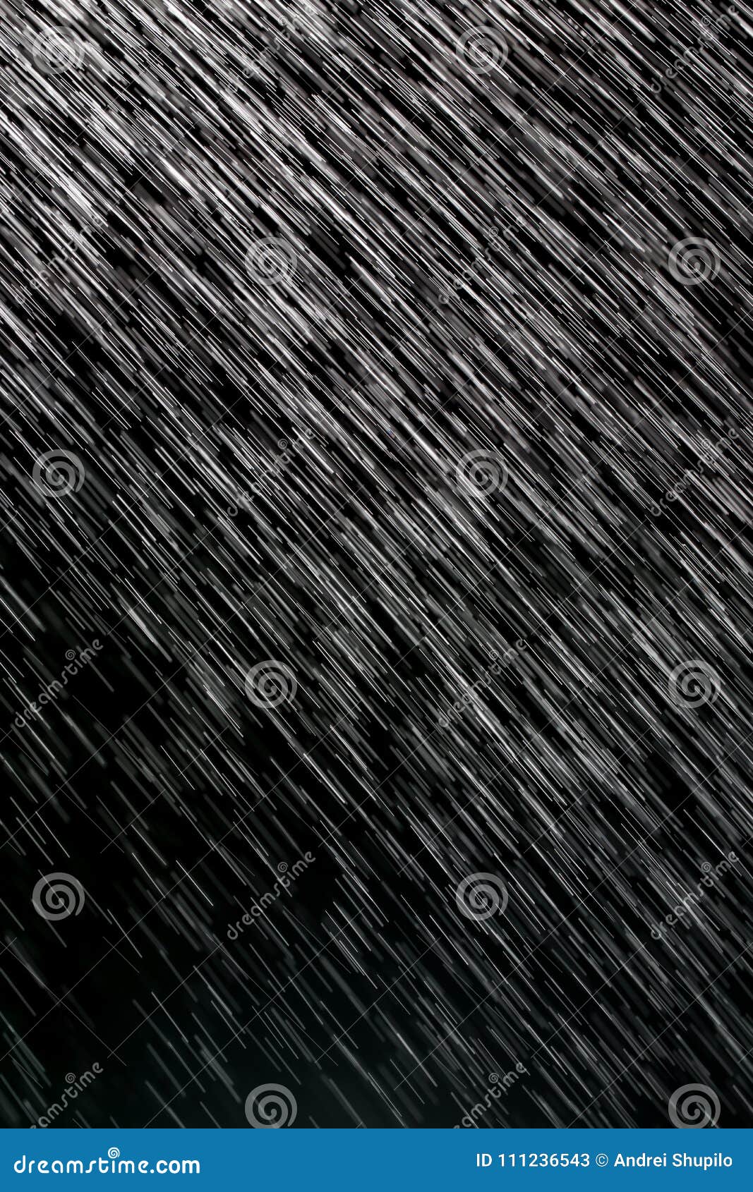 Rain on a black background stock image. Image of water 111236543